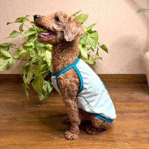 Stylish Dog wear jungle claws vest Petsway 