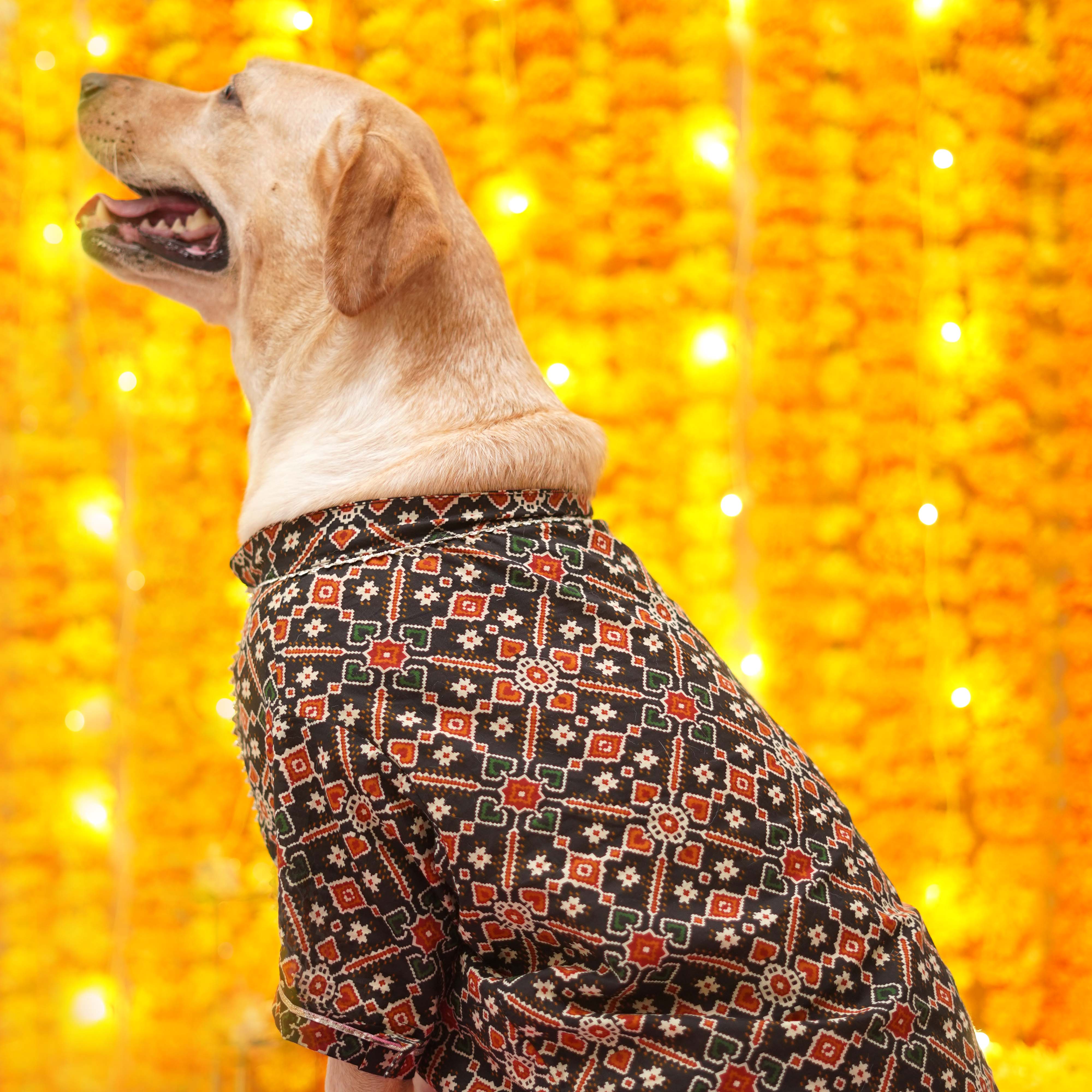 Patola - Charcoal Dog Kurta