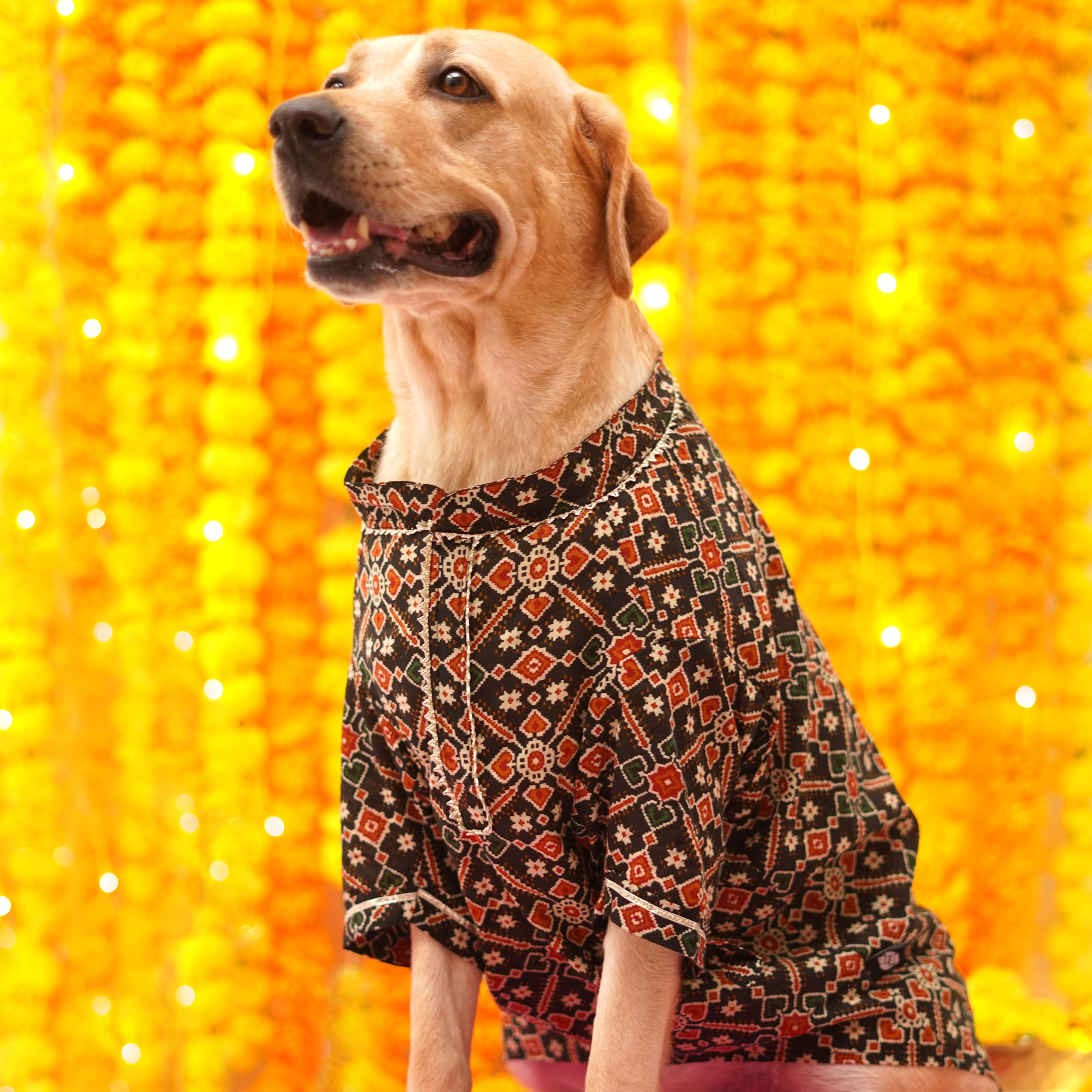 Patola - Charcoal Dog Kurta