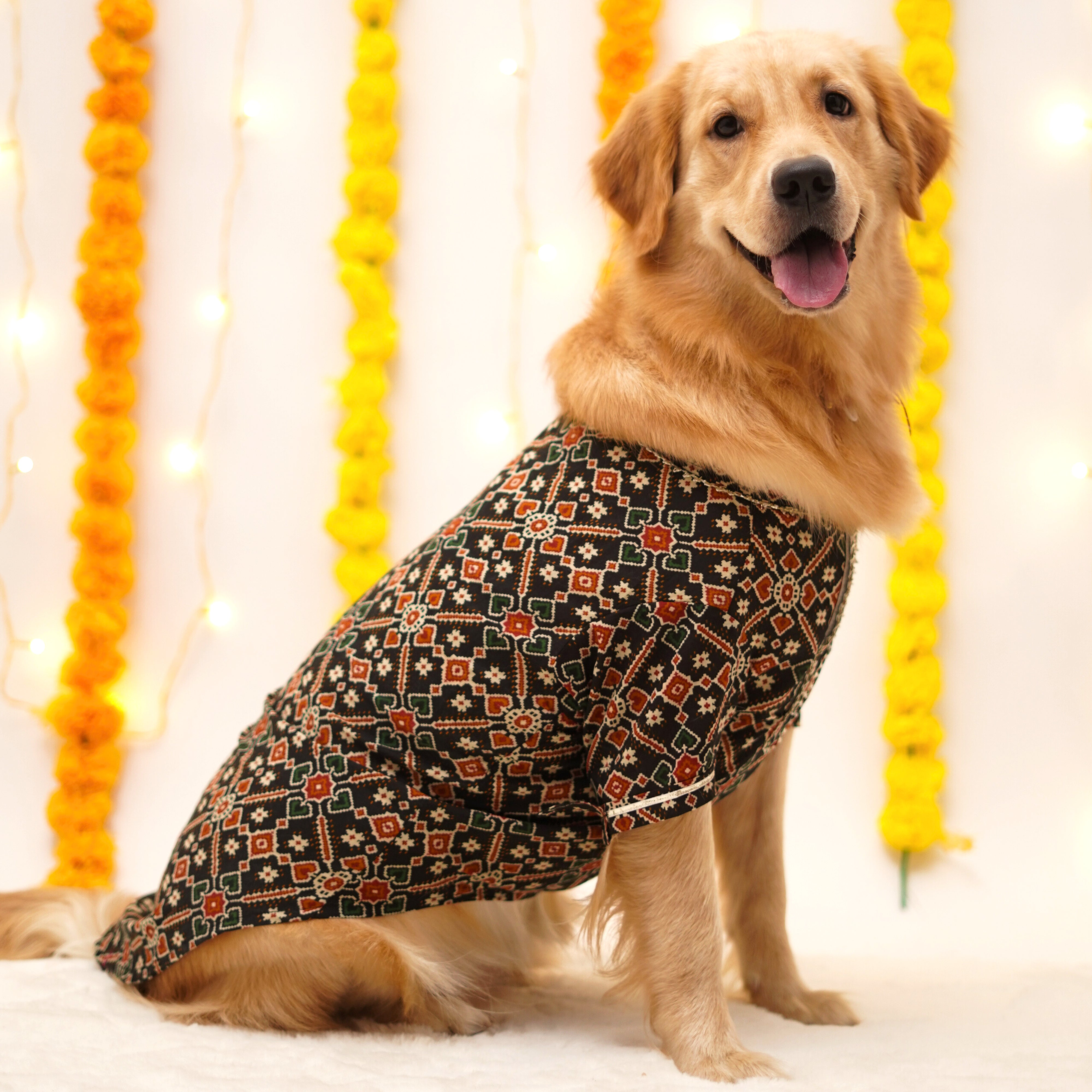 Patola - Charcoal Dog Kurta