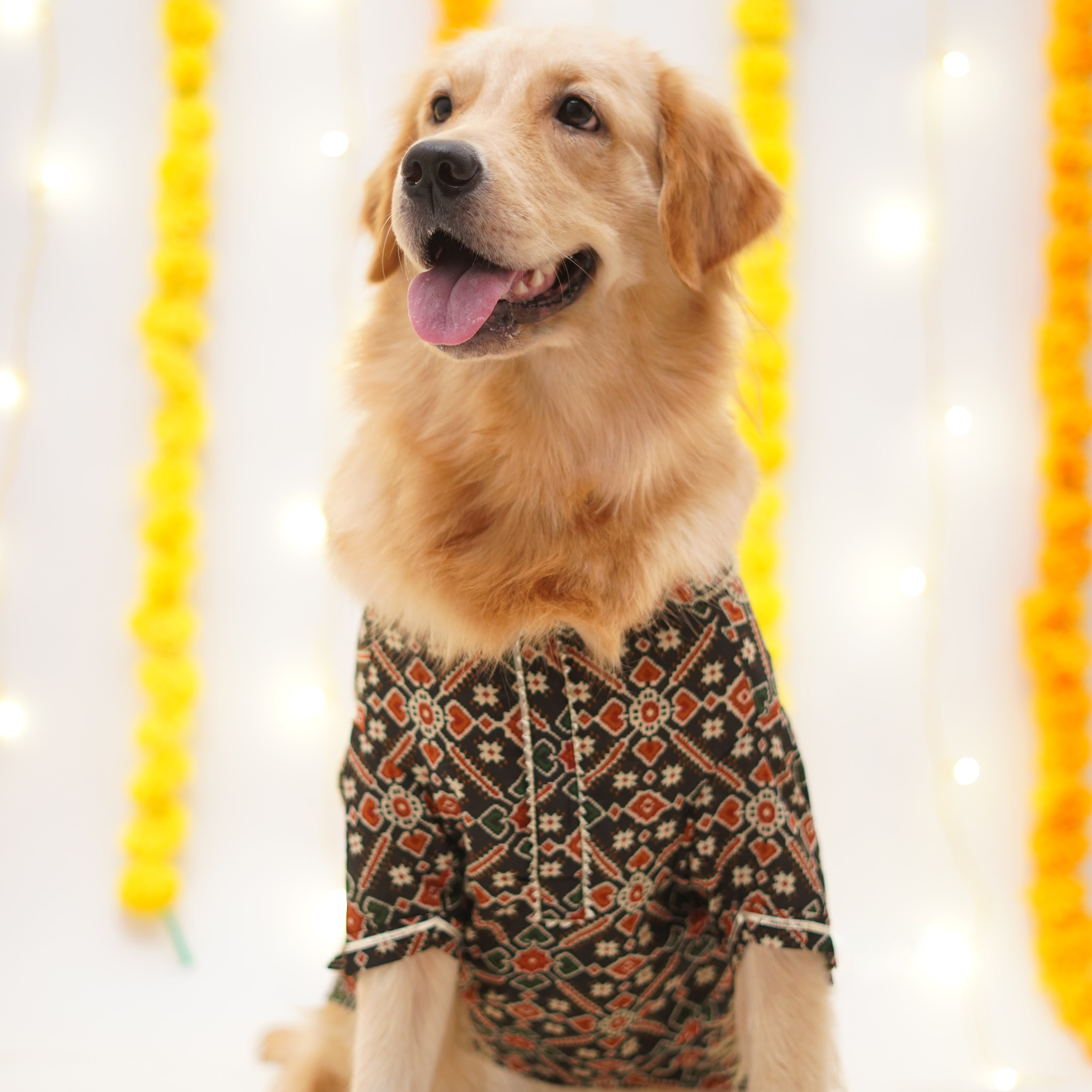 Patola - Charcoal Dog Kurta