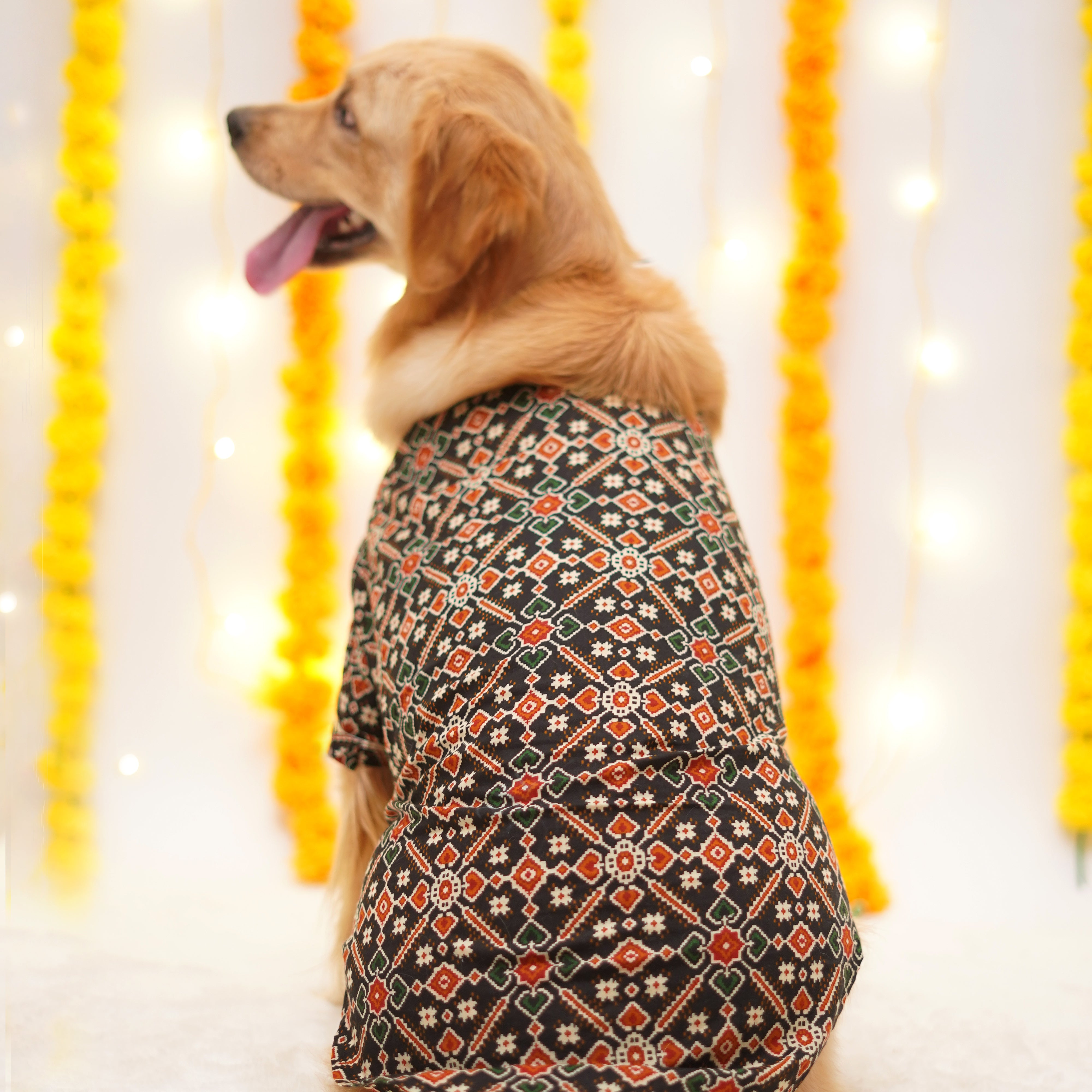 Patola - Charcoal Dog Kurta