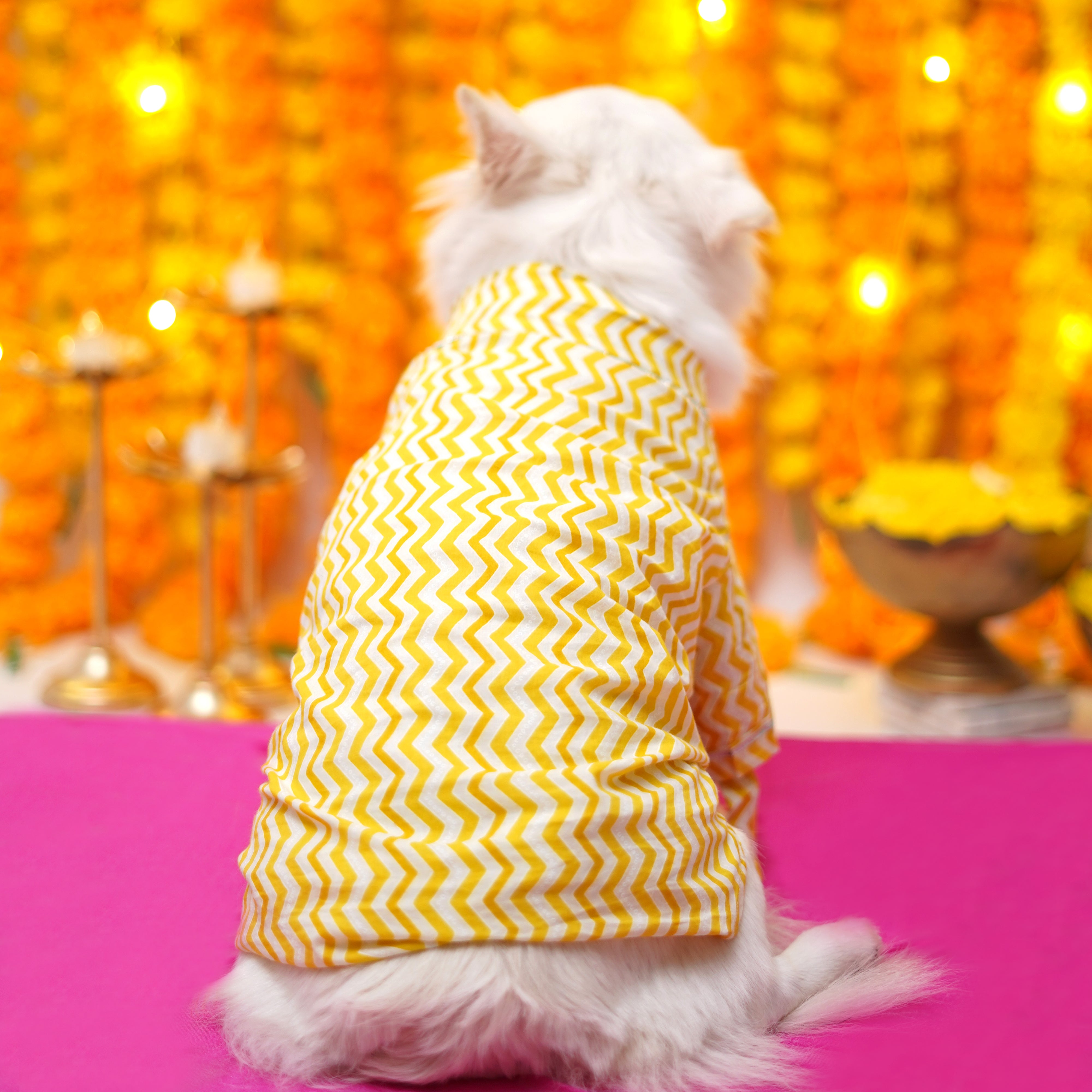 Chevron - Gold  Dog Kurta