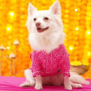 Bandhani - Pink Dog kurta
