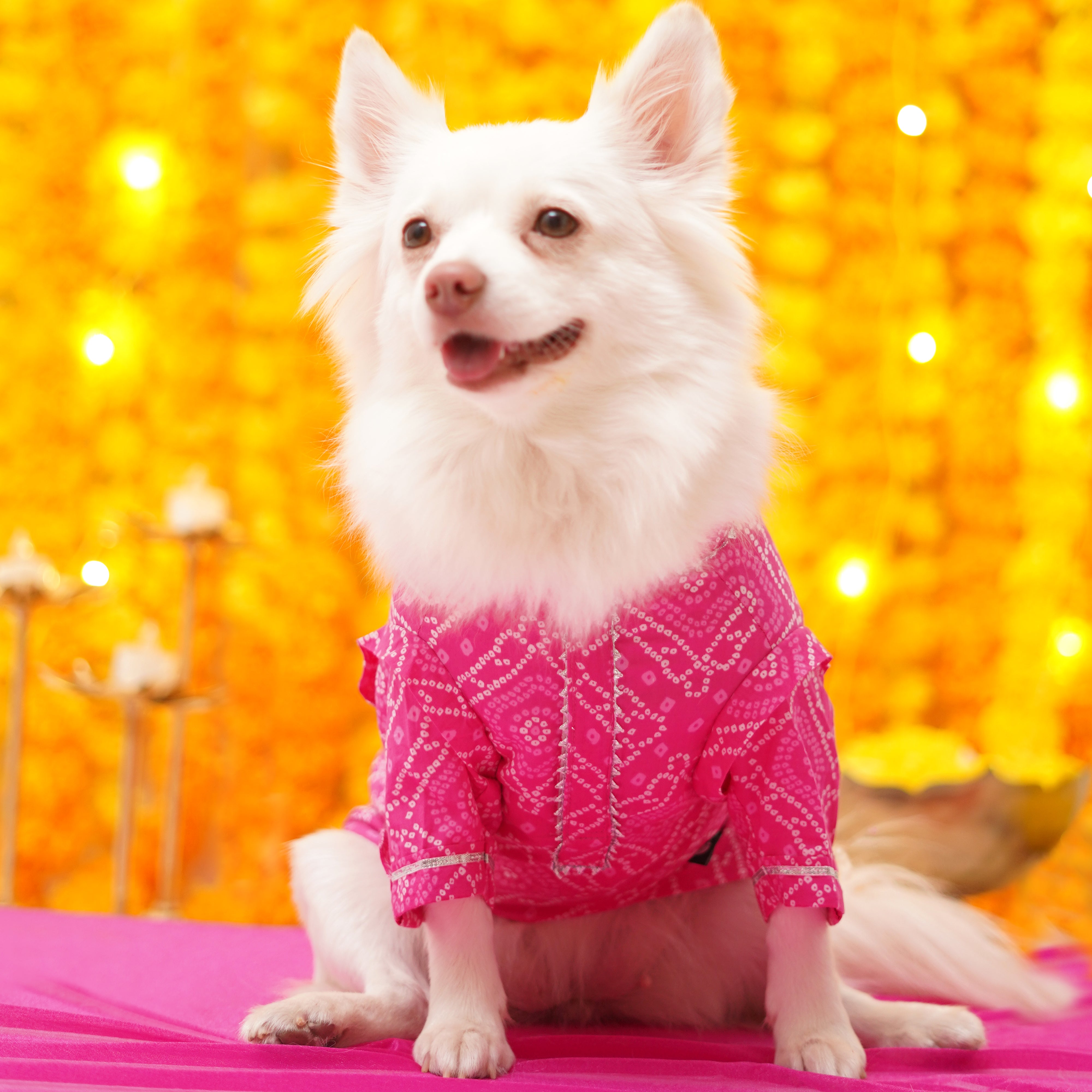 Bandhani - Pink Dog Kurta