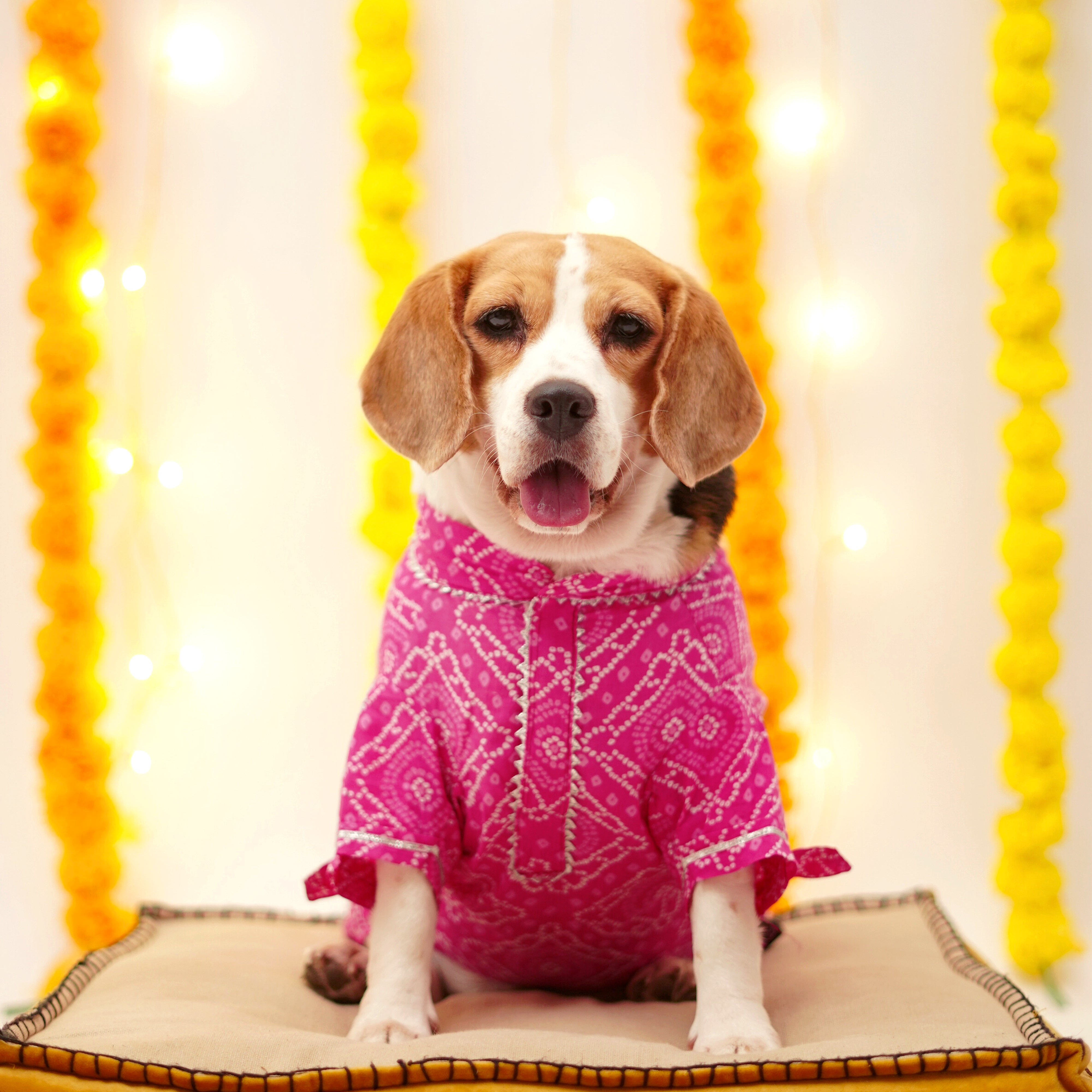 Bandhani - Pink Dog Kurta