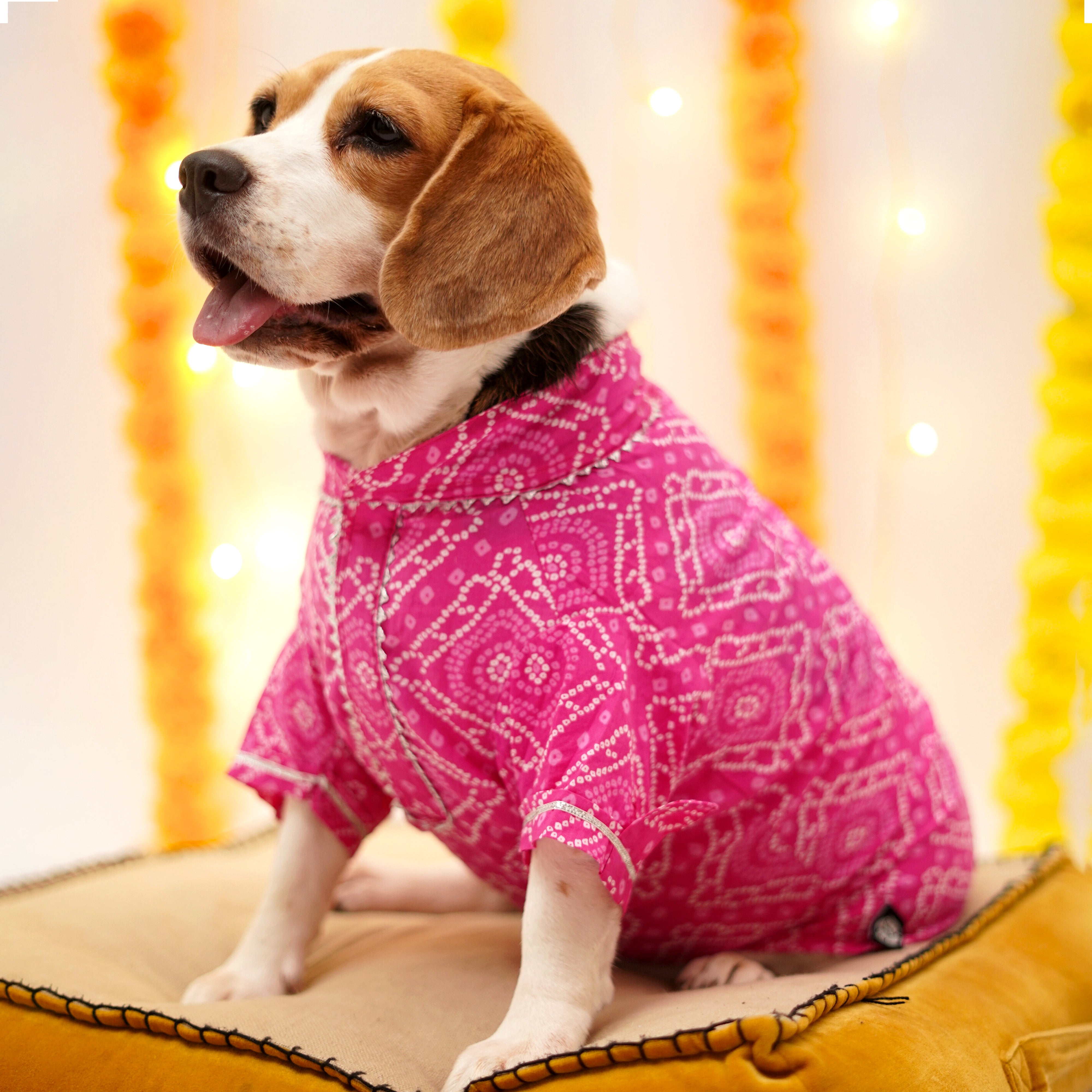 Bandhani - Pink Dog Kurta