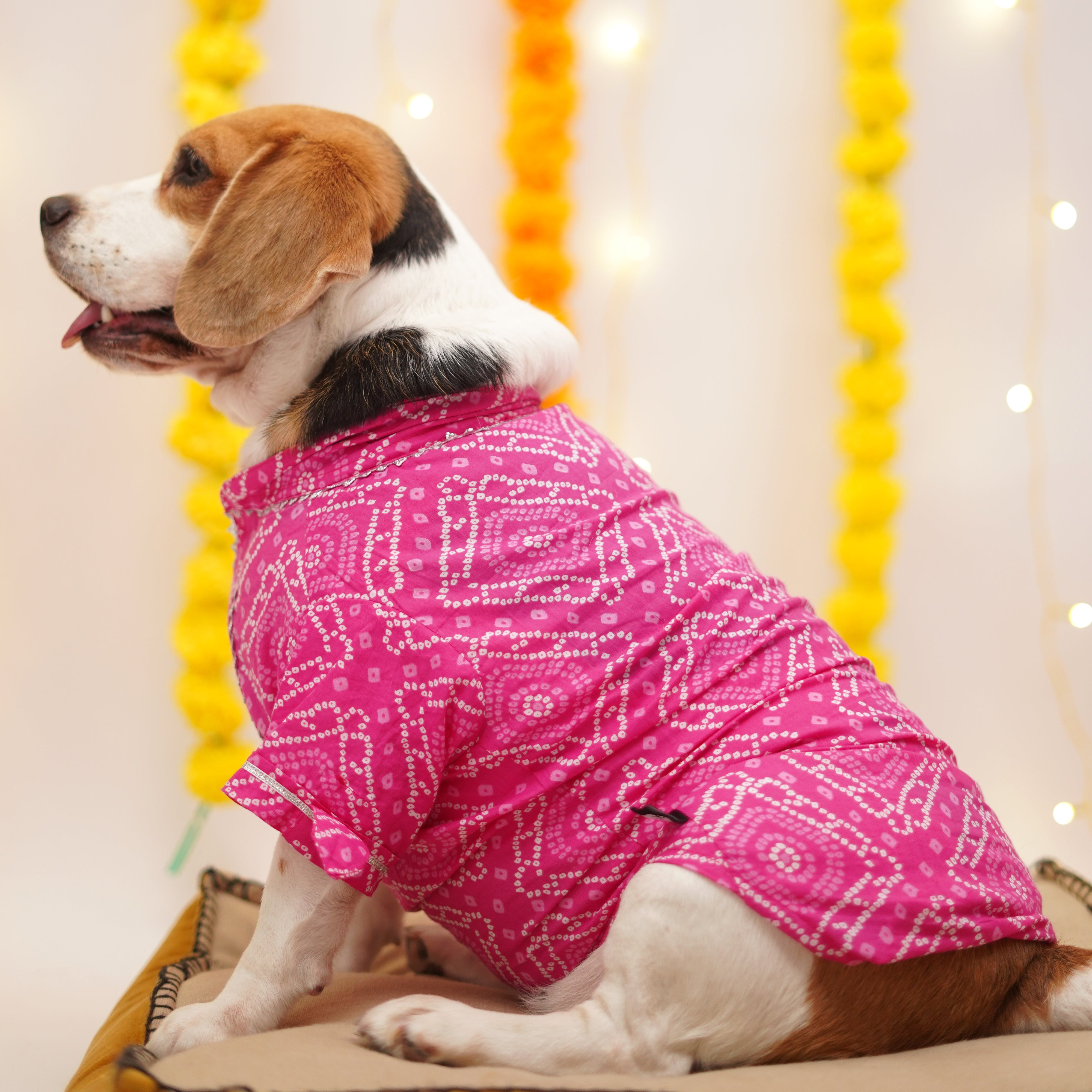 Bandhani - Pink Dog Kurta