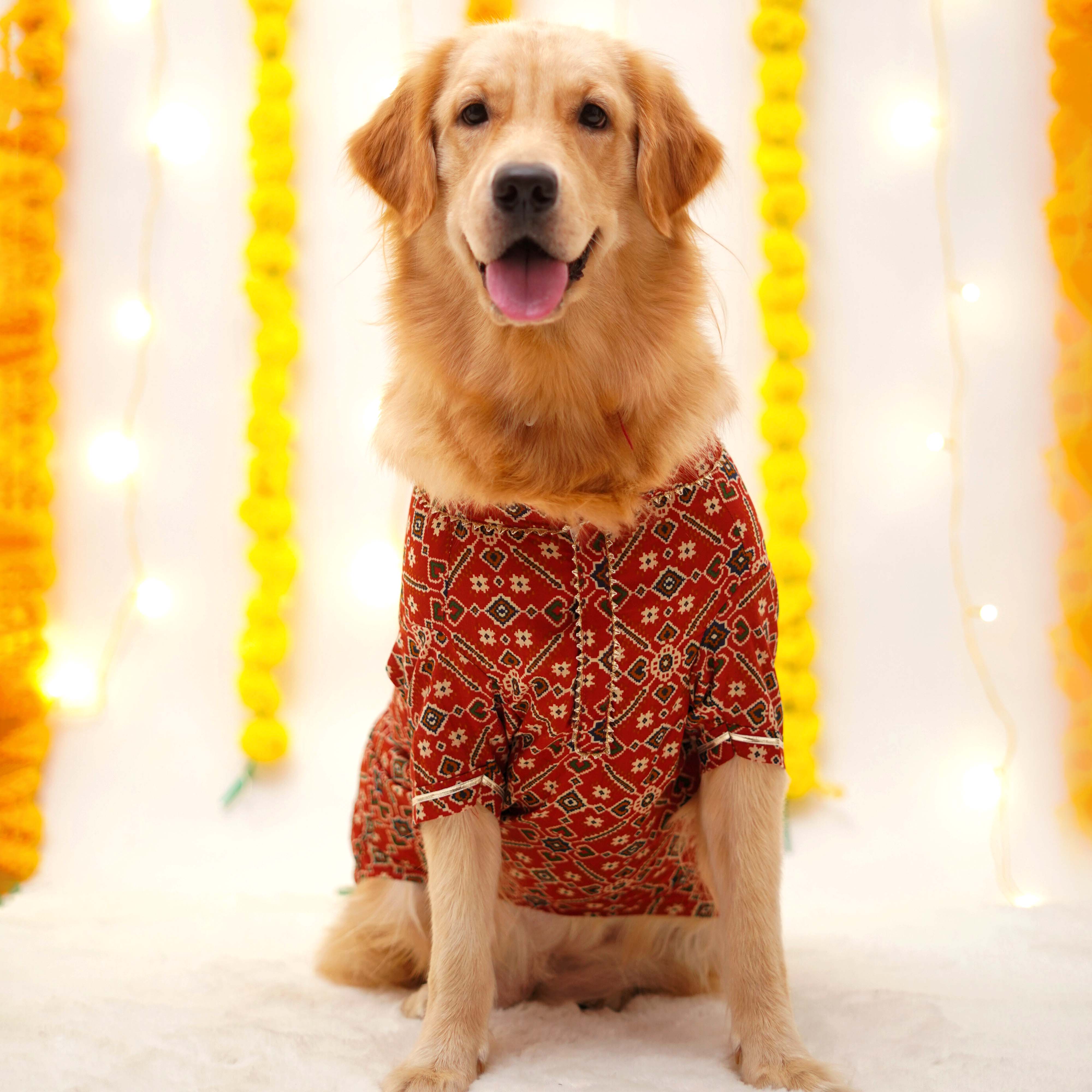 Patola Dog Kurta - Red