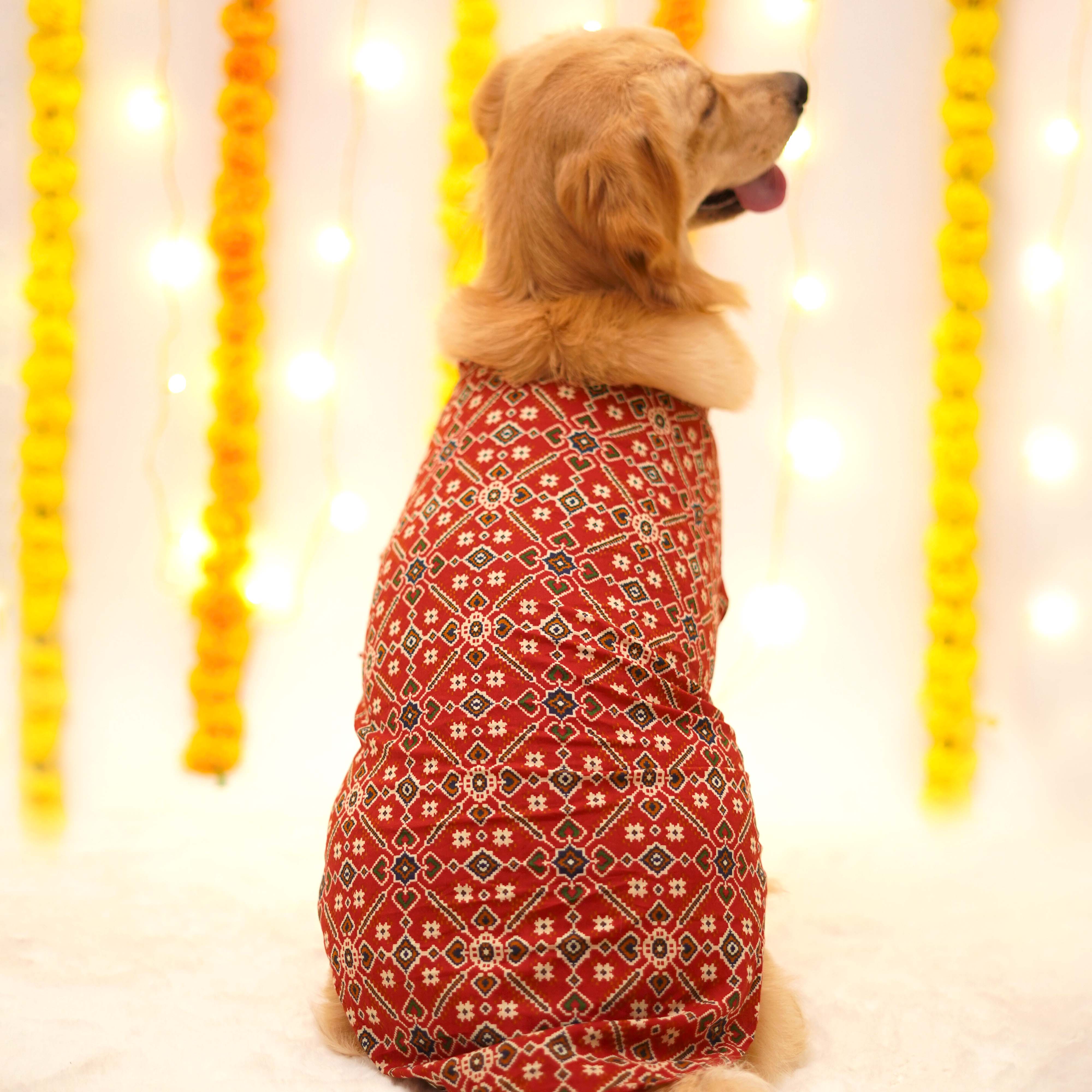 Patola Dog Kurta - Red