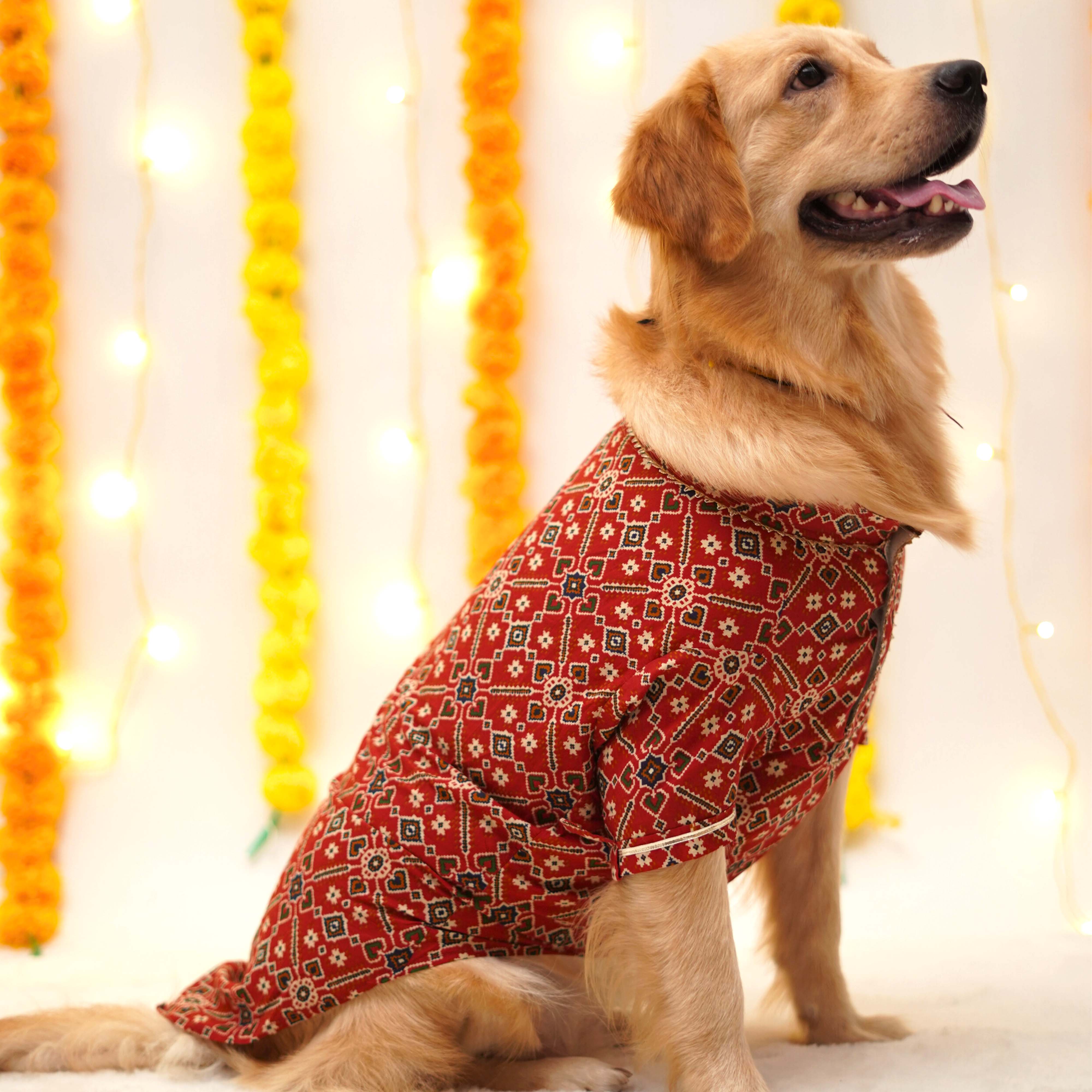 Patola Dog Kurta - Red