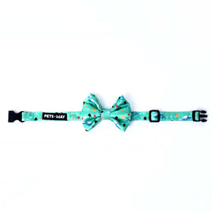 front of Lake Bow Tie-petsway