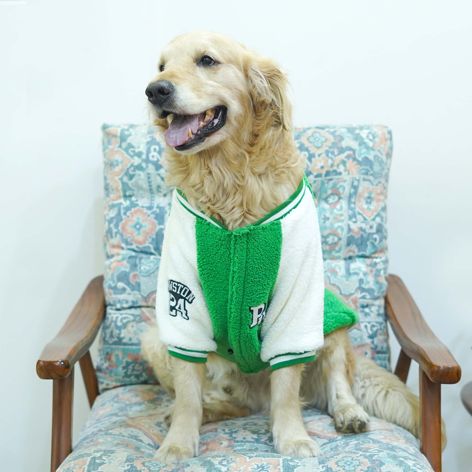 Pawsity – Leaf Dog Jacket
