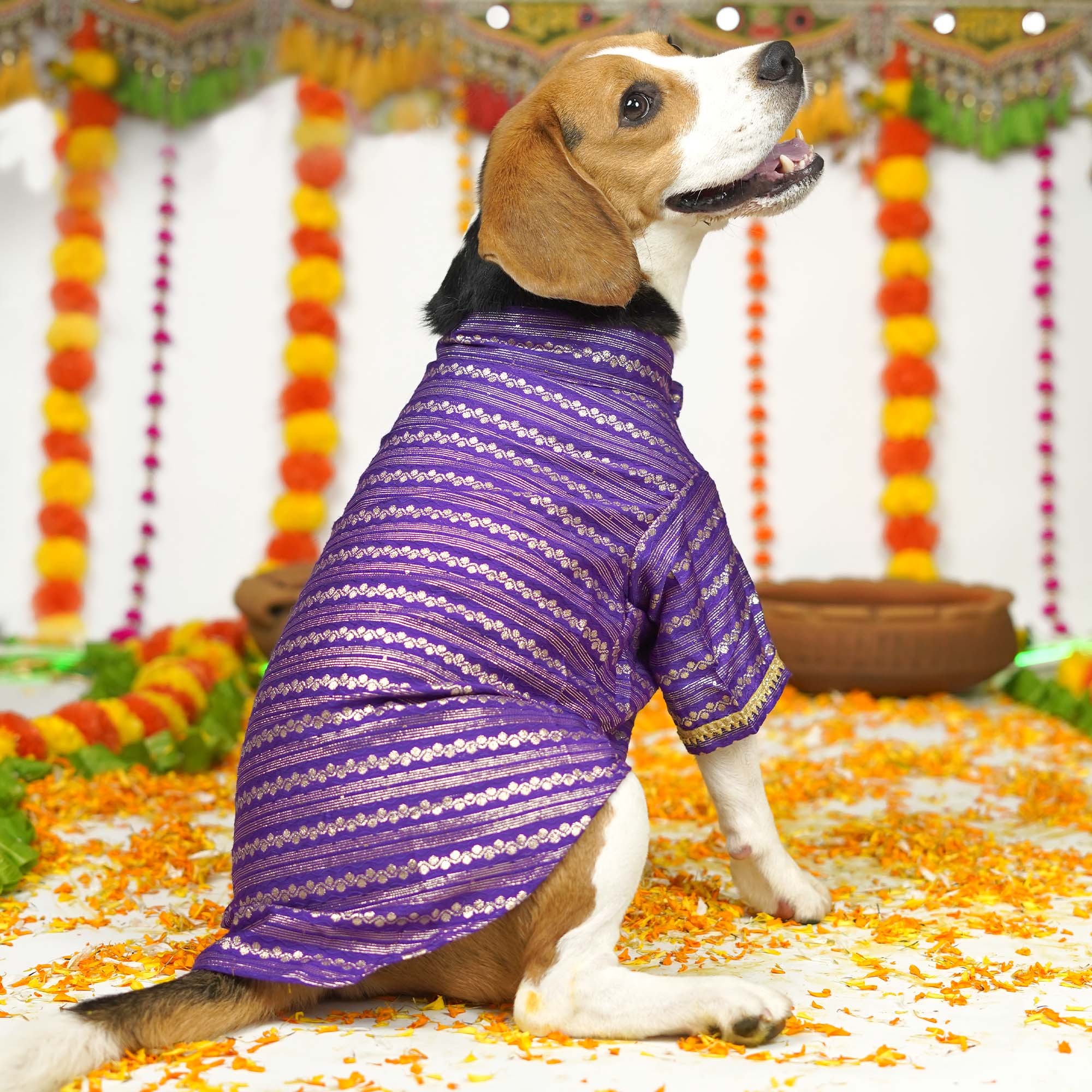 Lehar - Purple Dog kurta