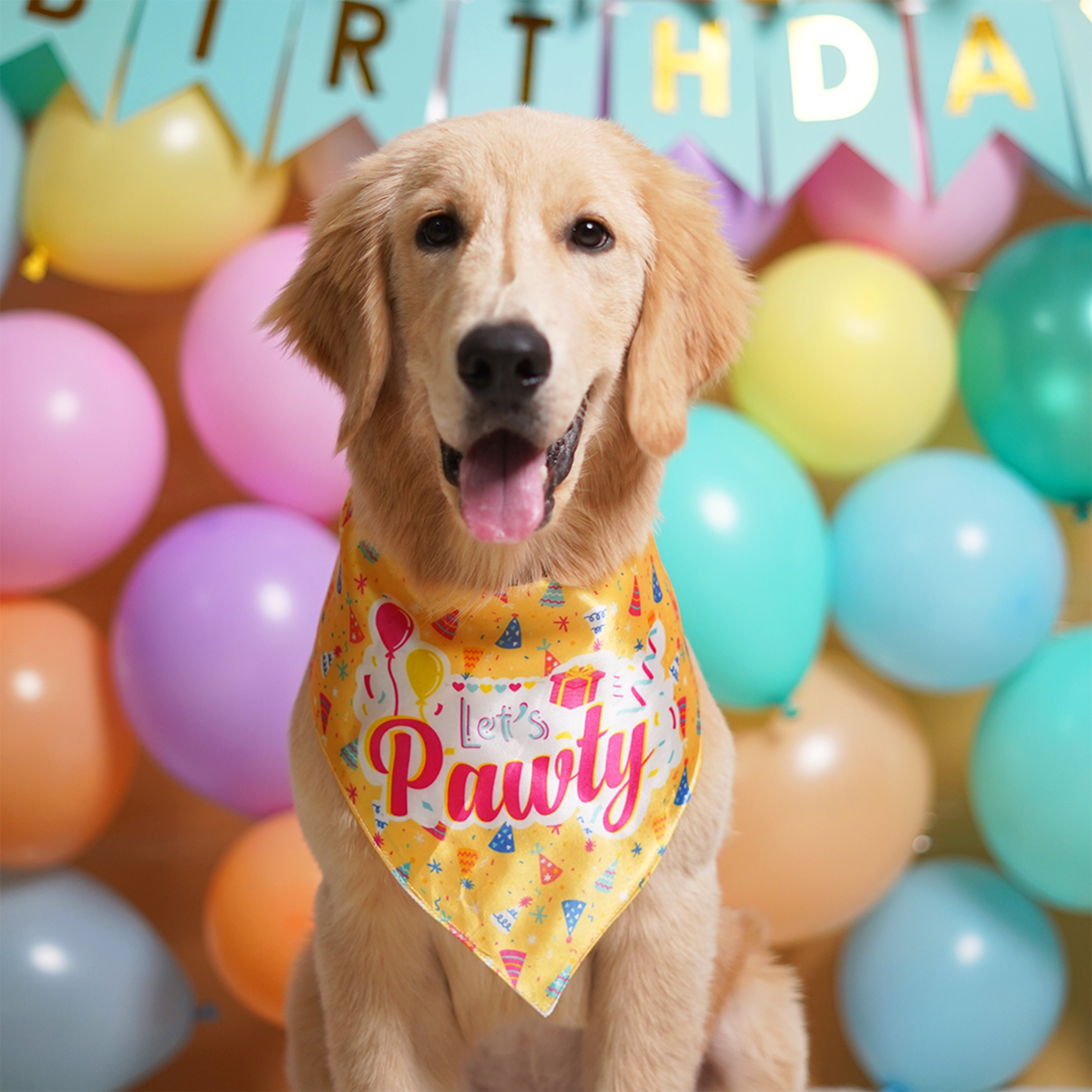 Birthday Dog Bandana - Lemon