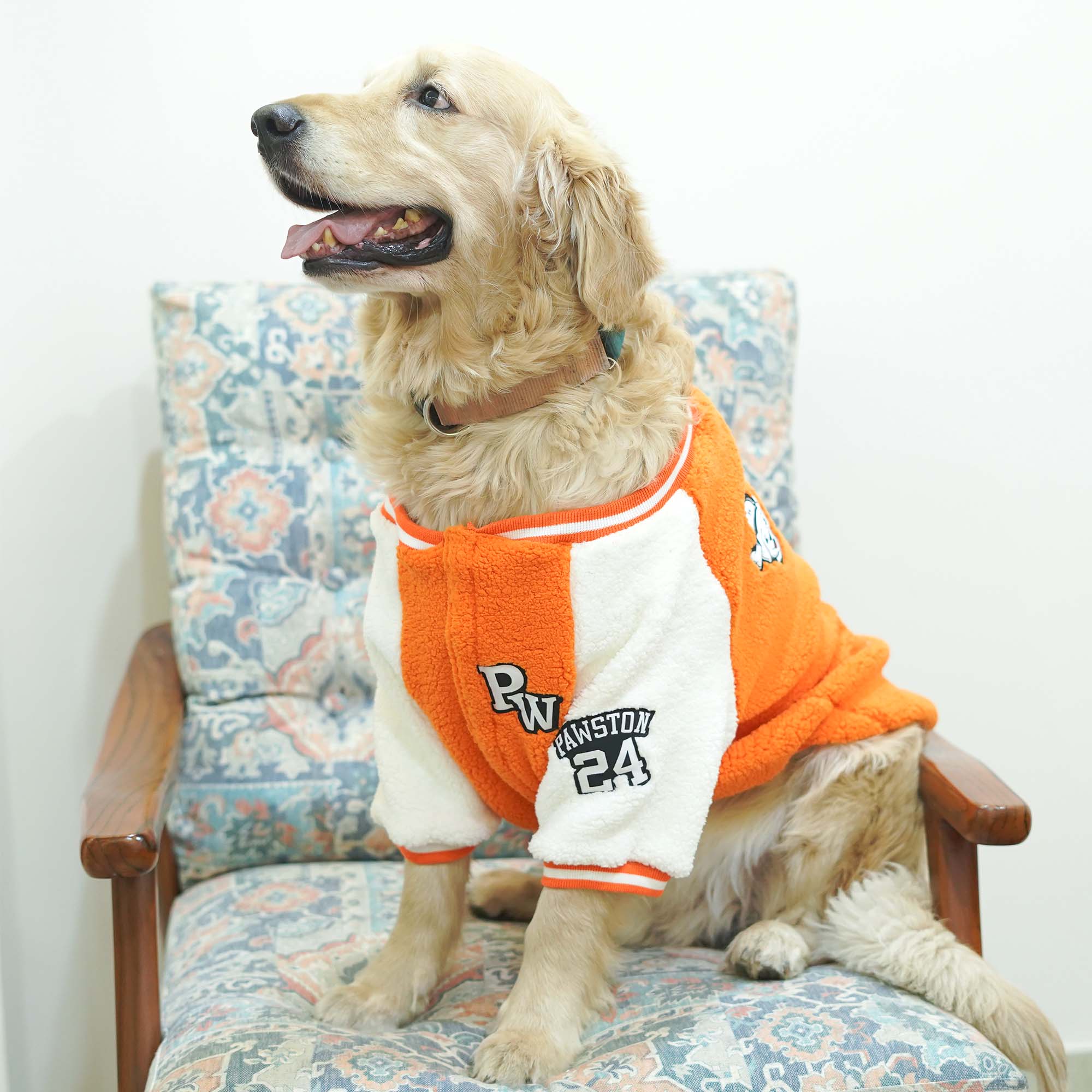 Pawsity – Tangerine Dog Jacket