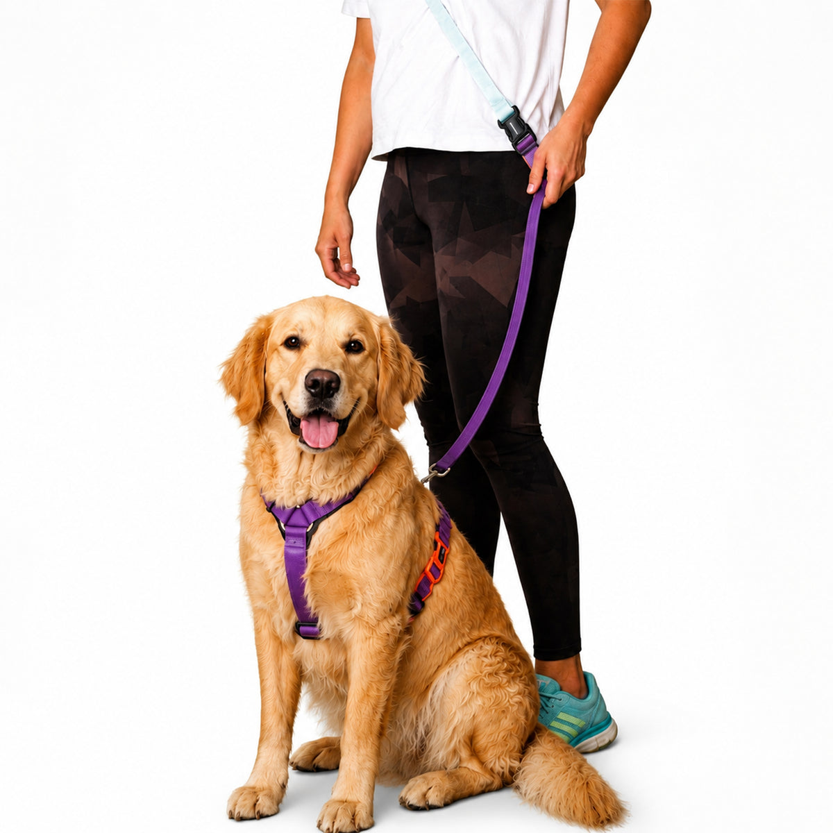 AMETHYST & SKY FLEX 7 IN 1 LEASH
