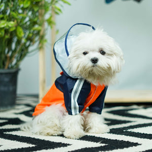 Lava Rainstorm Dog Raincoat
