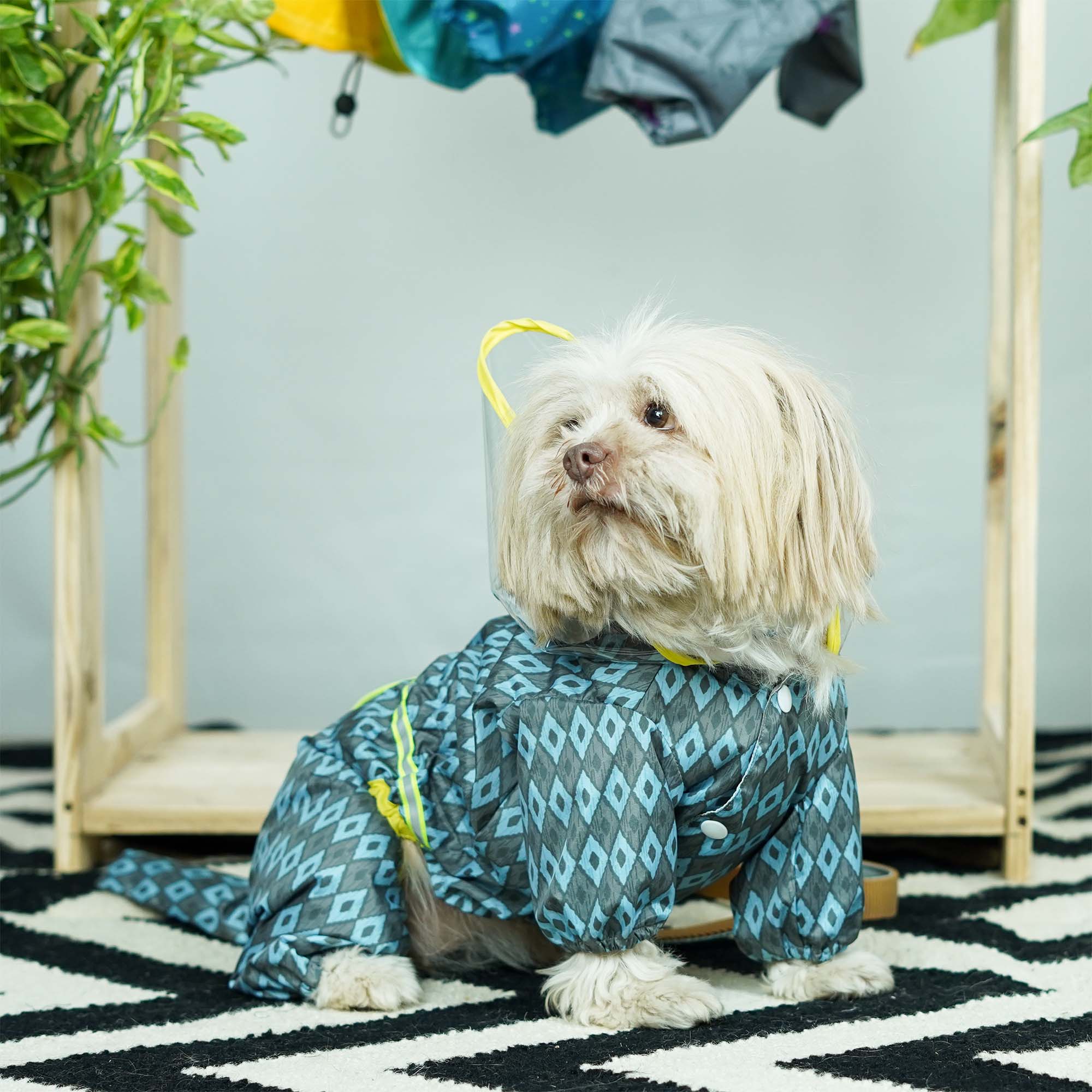 Furcast Boho Dog Raincoat