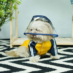 Rainstorm Dog Raincoat-Canary