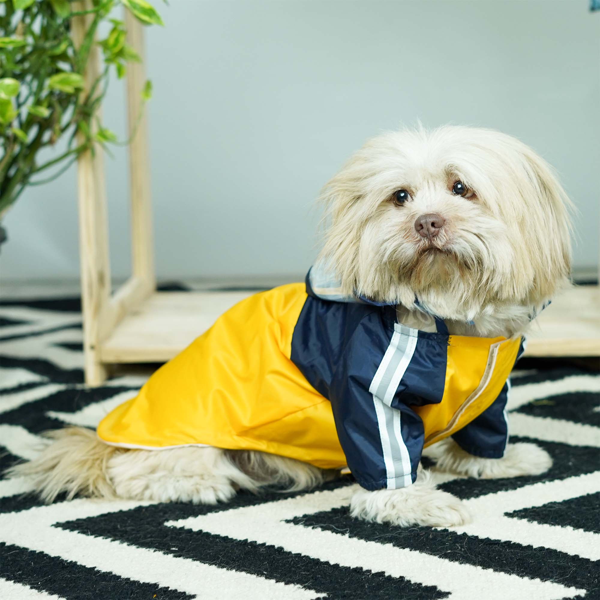 Rainstorm Dog Raincoat-Canary