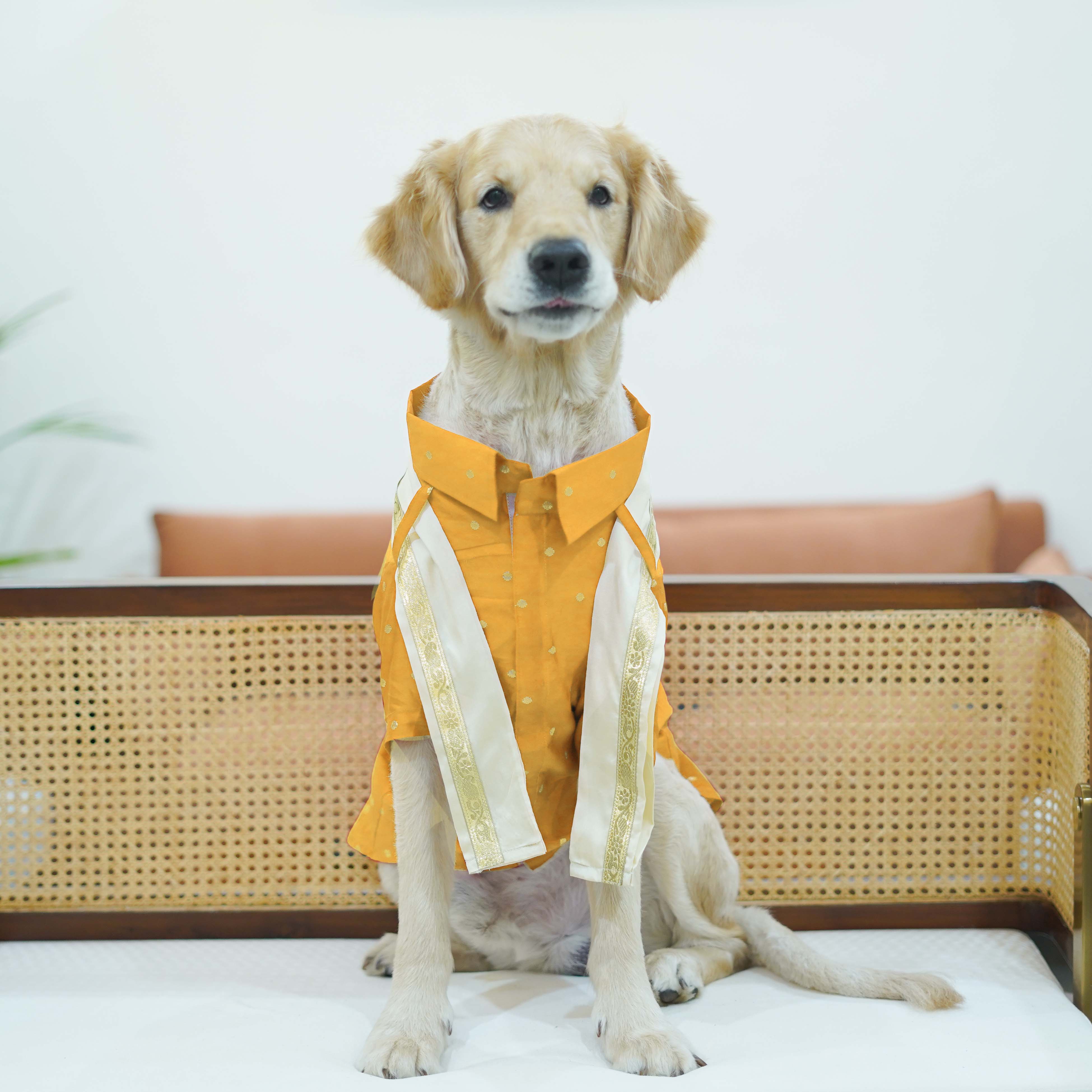 MUNDU - Mango Dog Shirt