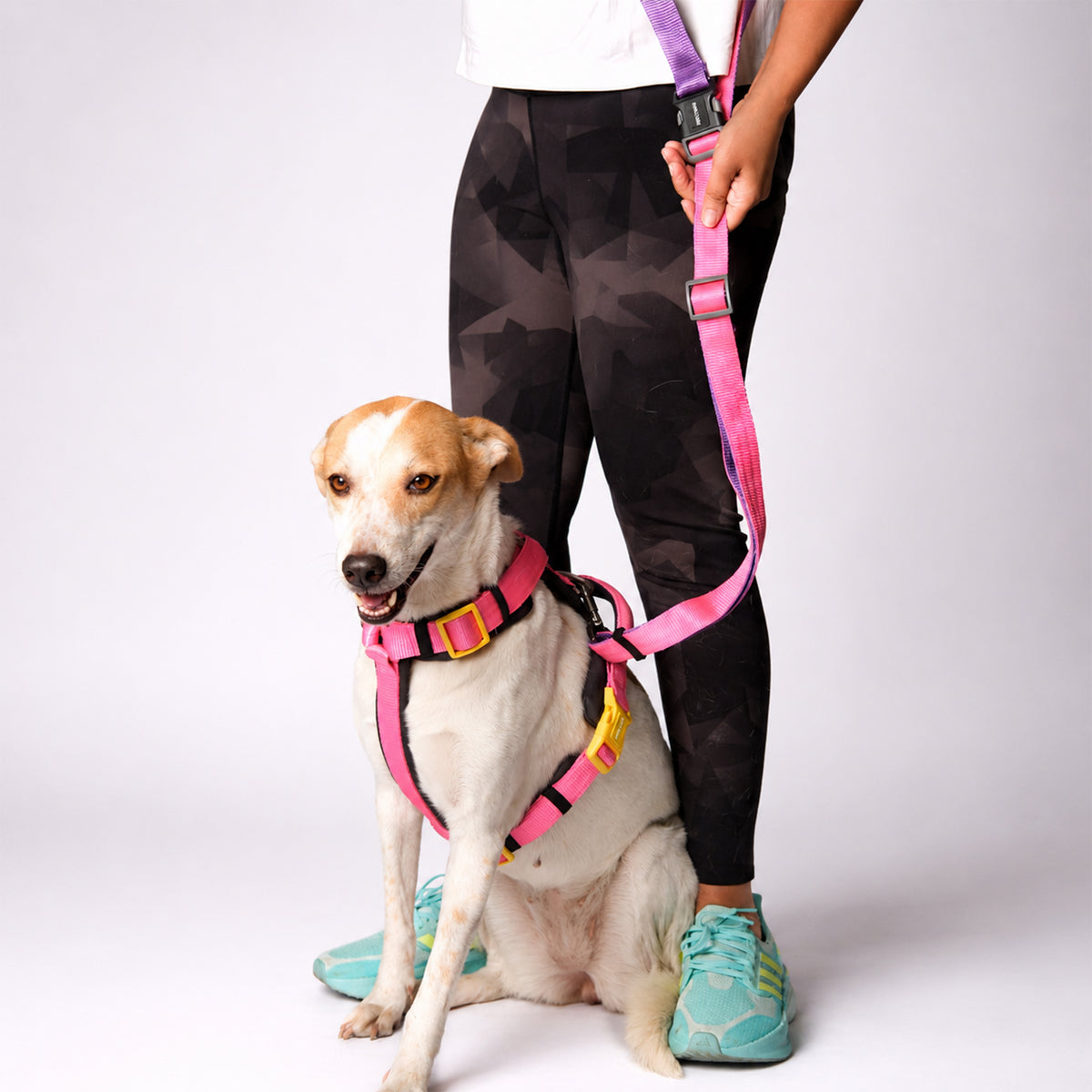FUCHSIA & AMETHYST FLEX 7 IN 1 LEASH