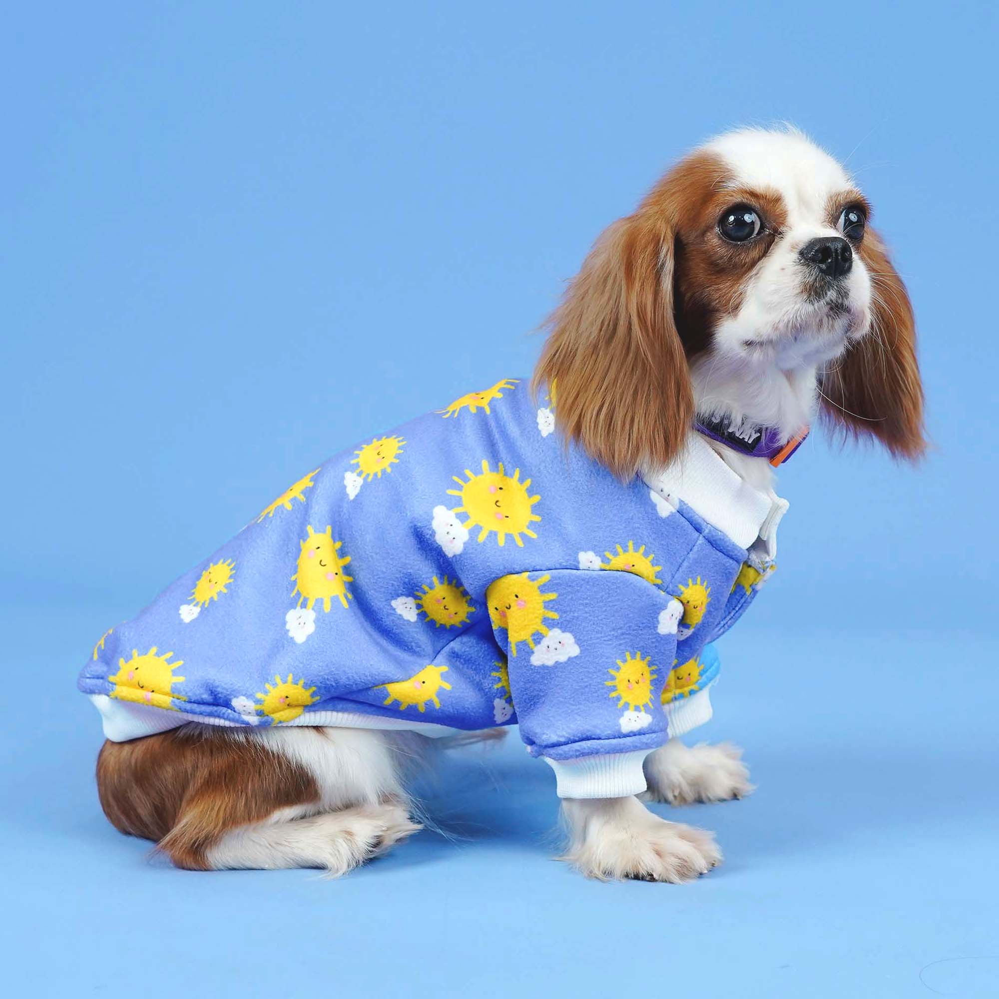 Crazy Sunlight - Combo