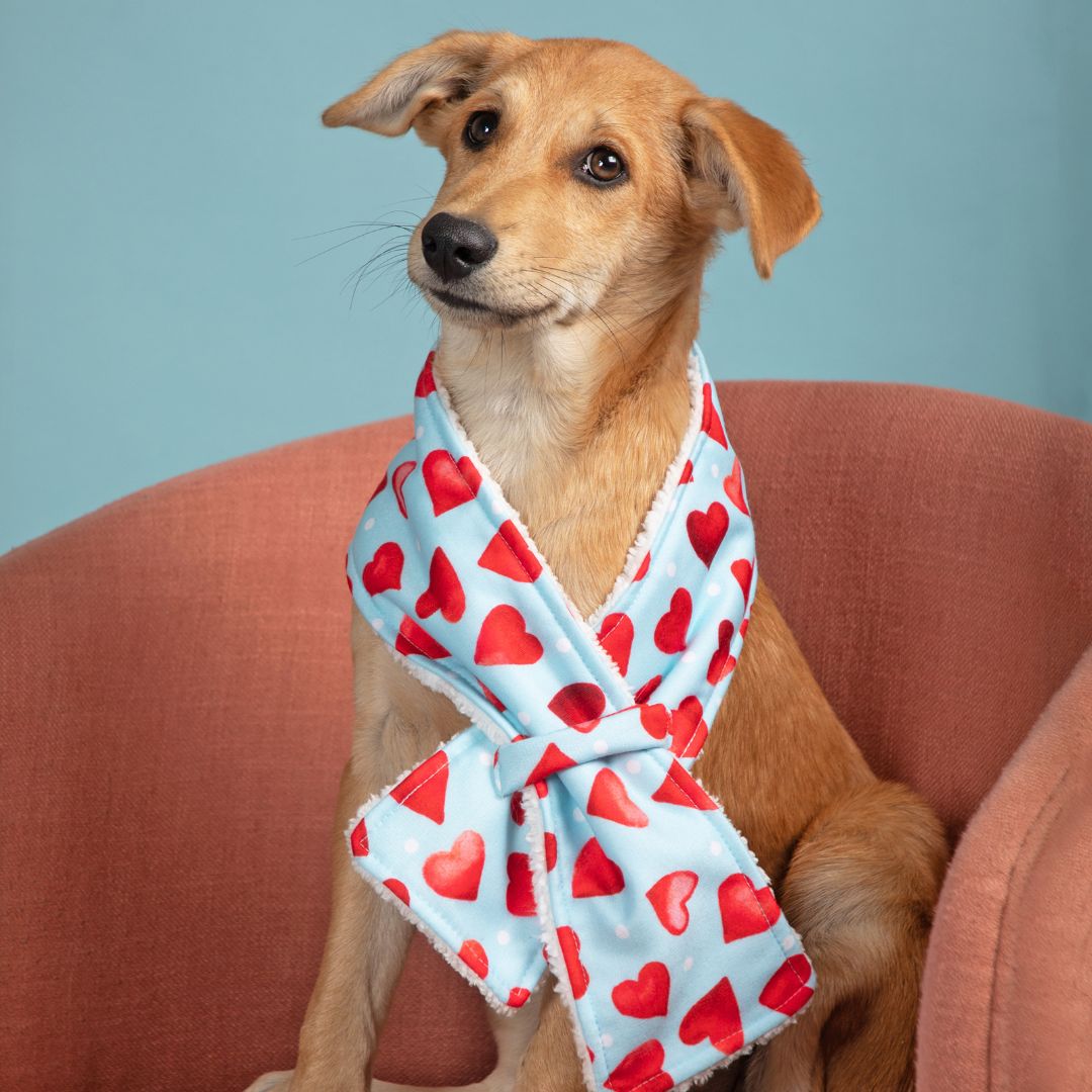 Cozy Little Heart Snood Petsway