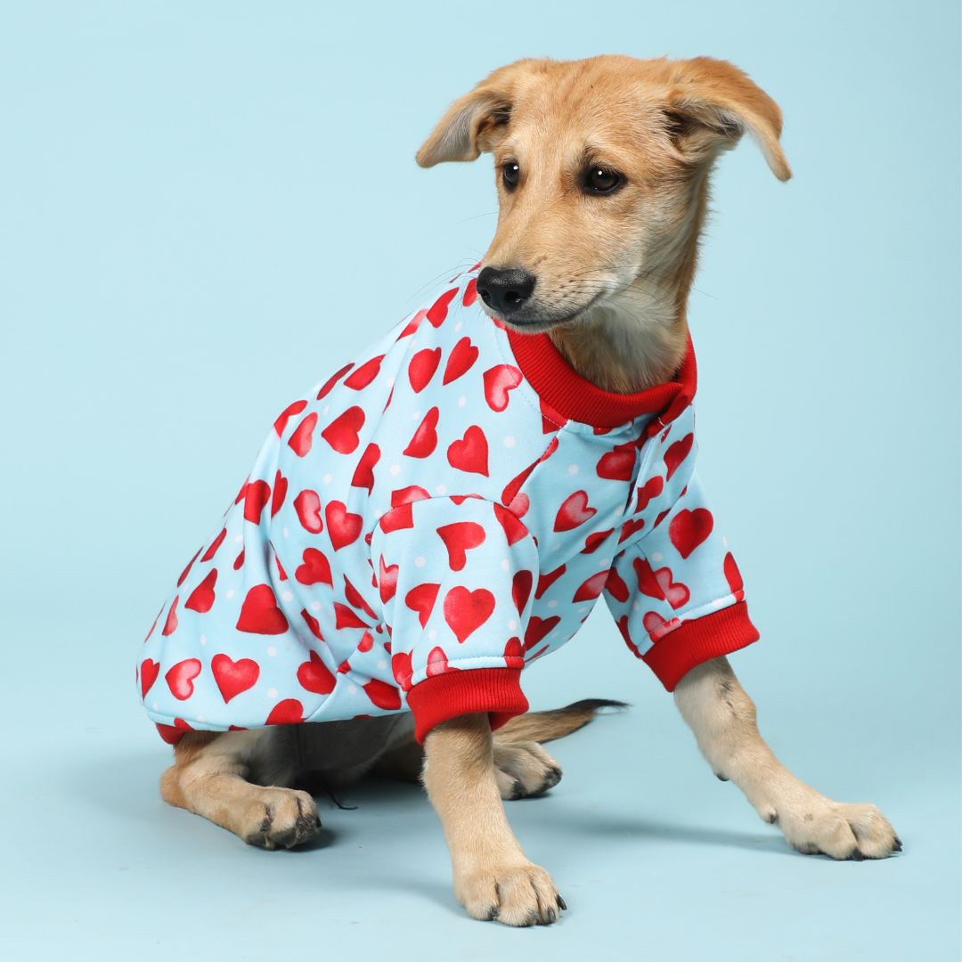 Adorable Little Heart Sweatshirt Petsway