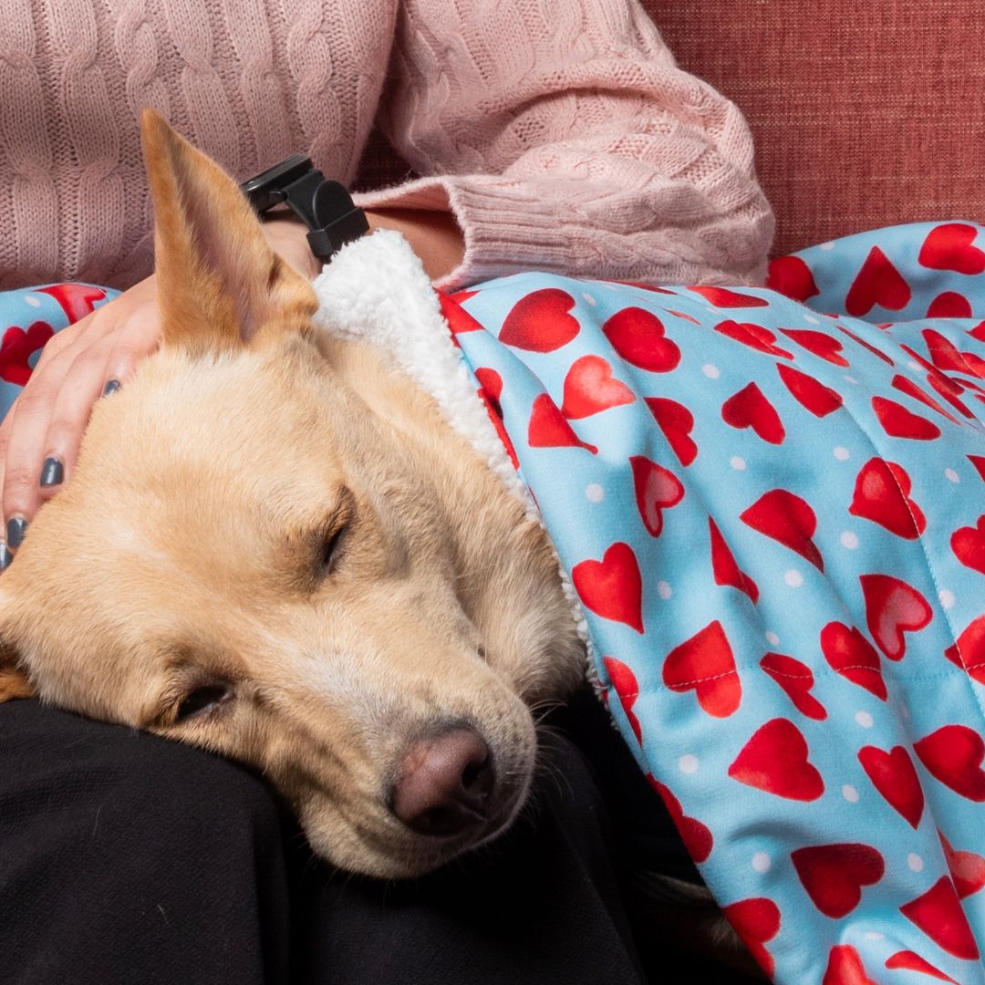 Warm litte heart pet Blanket Petsway