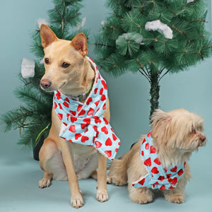 Warm Little Heart Snood Petsway