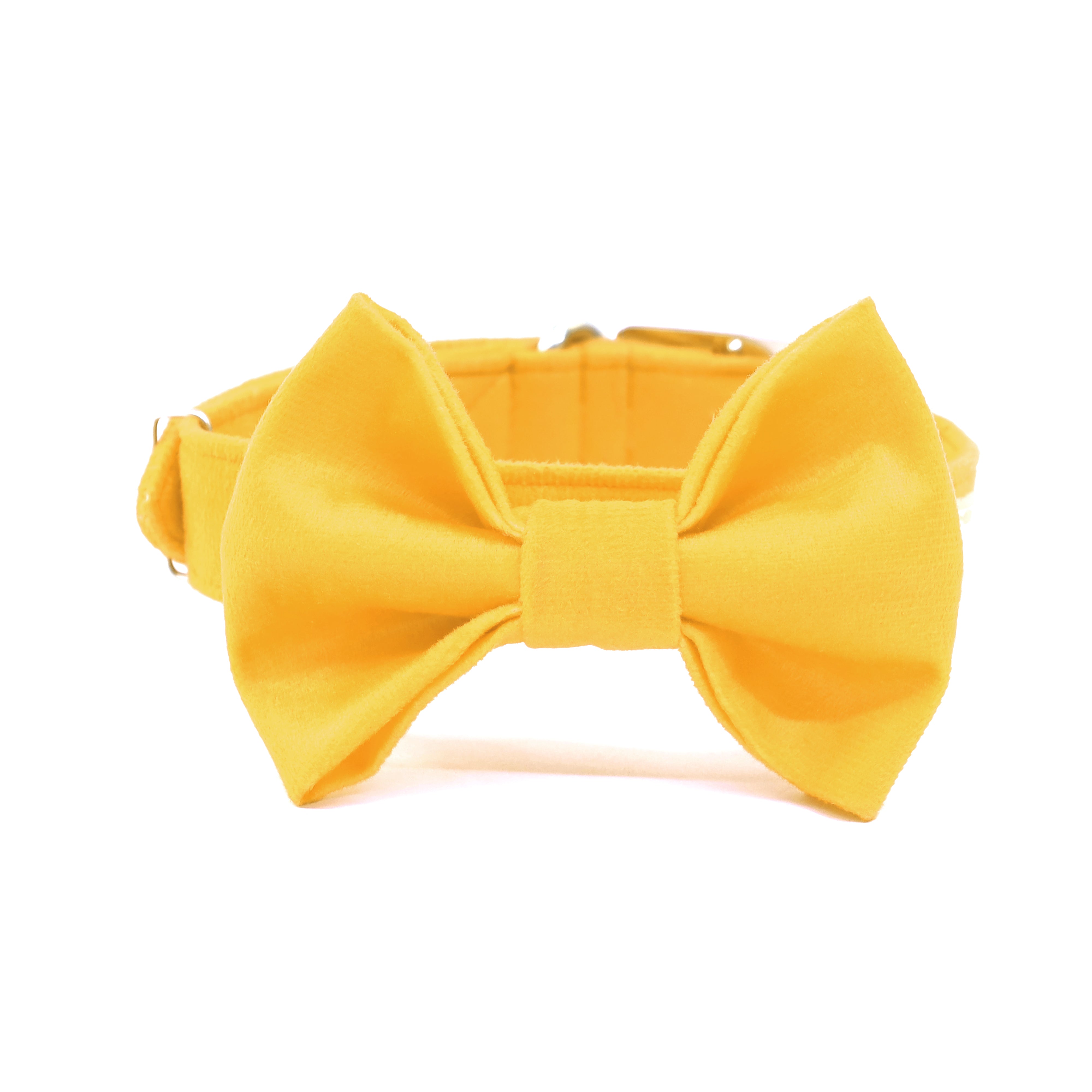 Amber Luxury Velvet Collar & Leash with Bow Tie