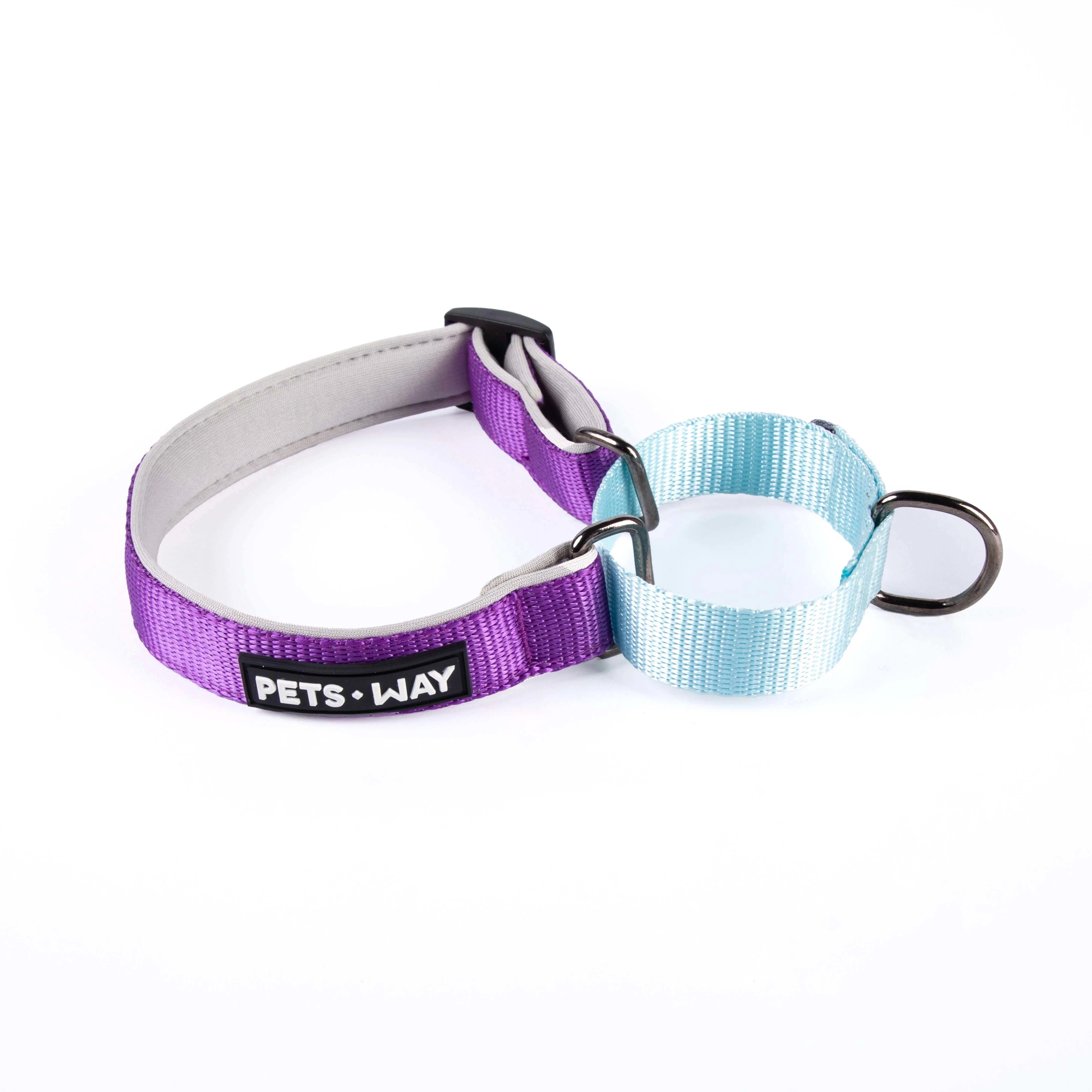 Amethyst & Sky Martingale Dog collar