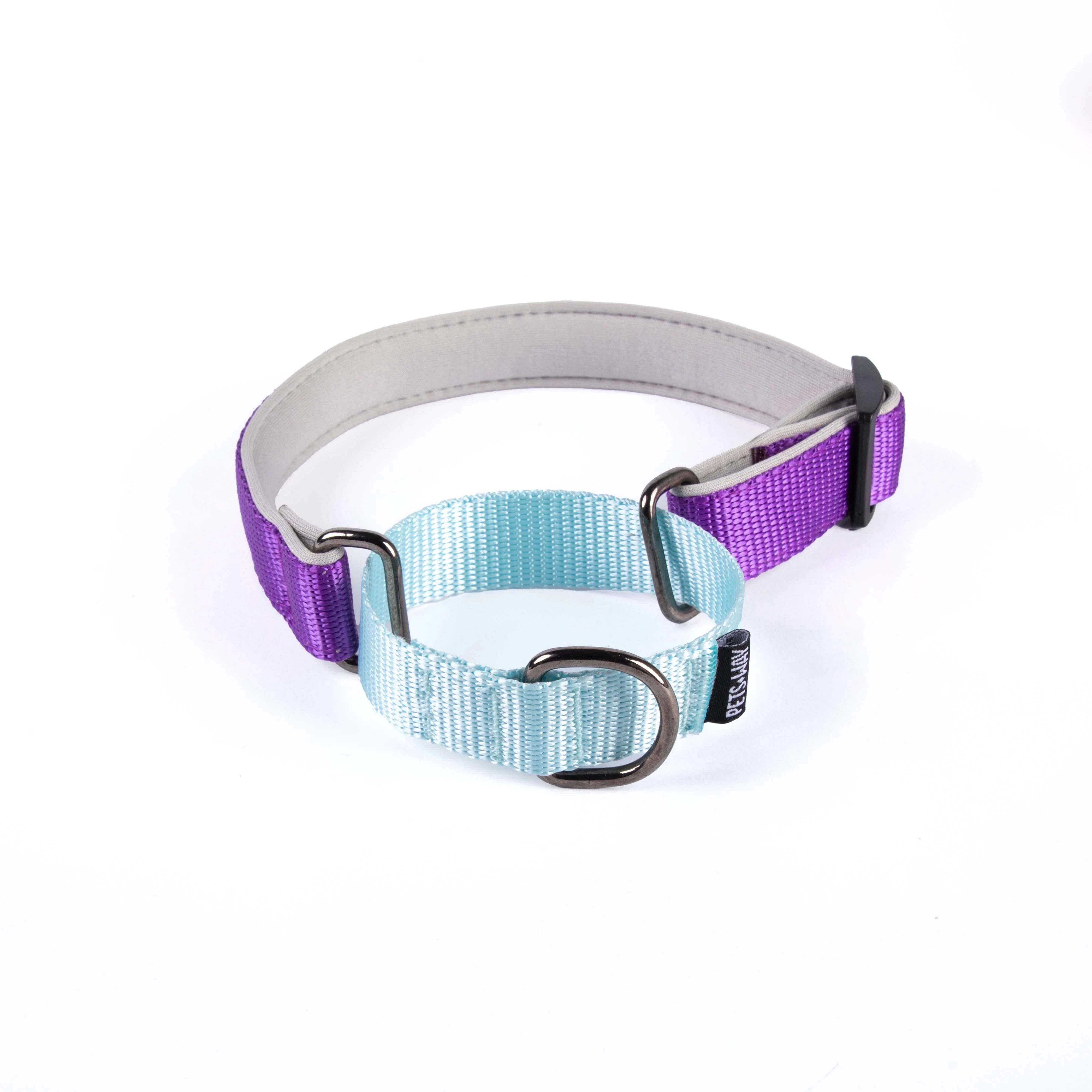 Amethyst & Sky Martingale Dog collar