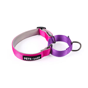 FUSCHIA & Amethyst -Martingale Dog Collar