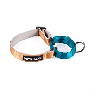 Honey & Emerald -Martingale Dog collar