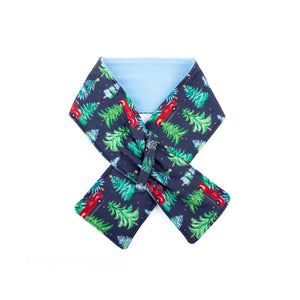 Mistletoe dog scarf Petsway