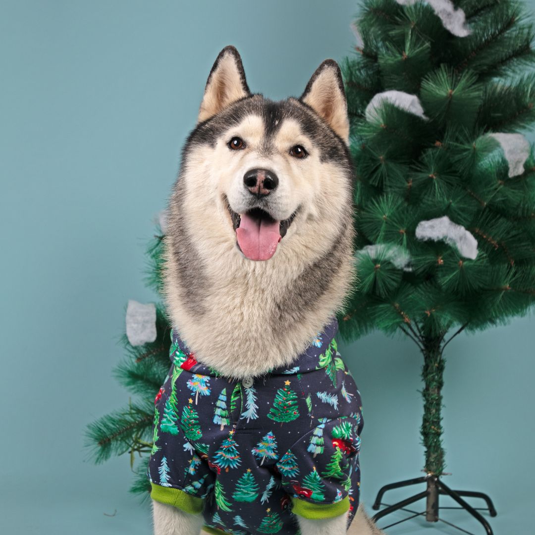 Adorable Mistletoe Hoodie Petsway
