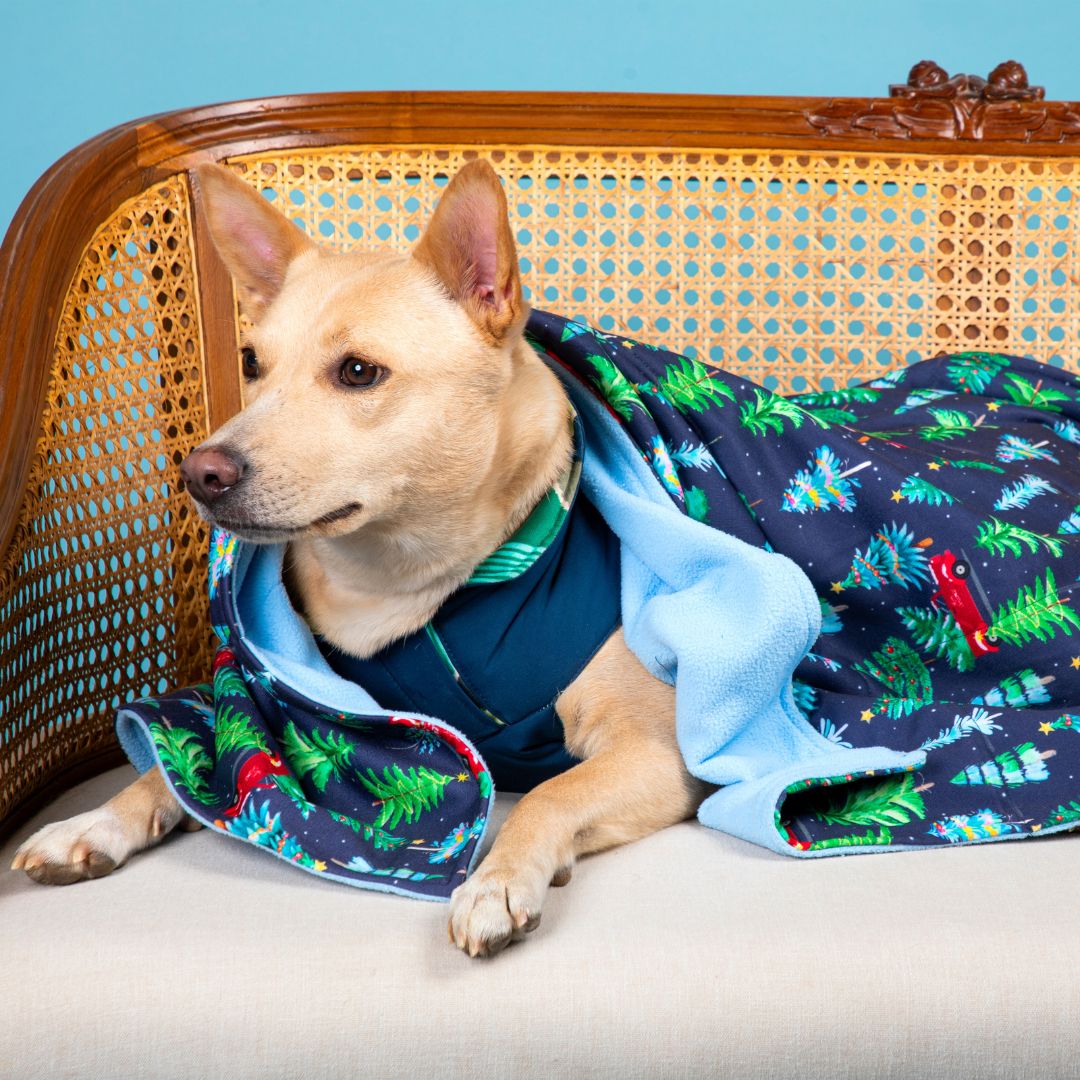 Warm Mistletoe Blanket Petsway