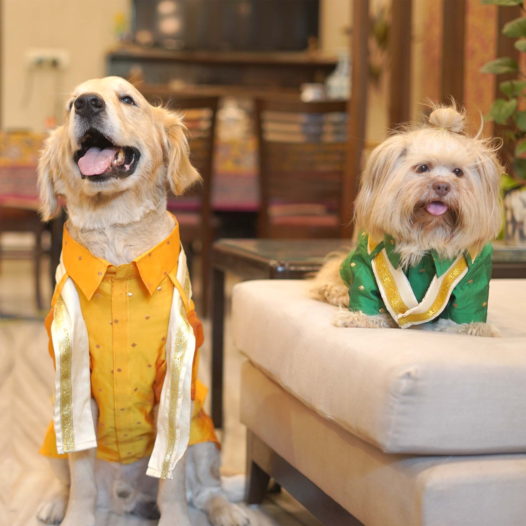 MUNDU - Mango Dog Shirt