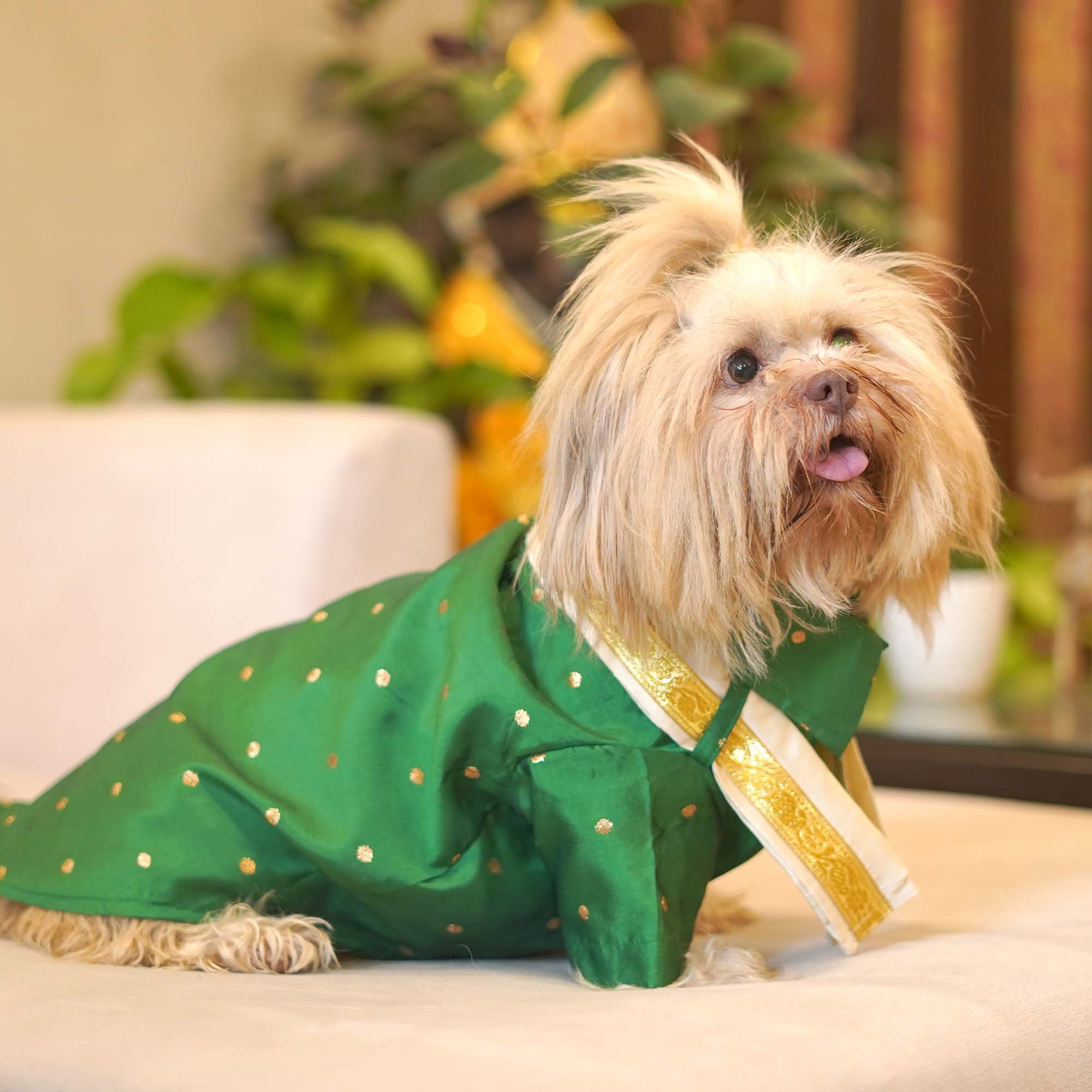 MUNDU - Forest Dog Shirt
