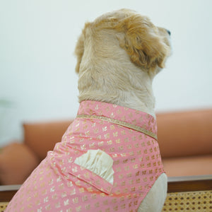 Nawab - Peach Dog kurta