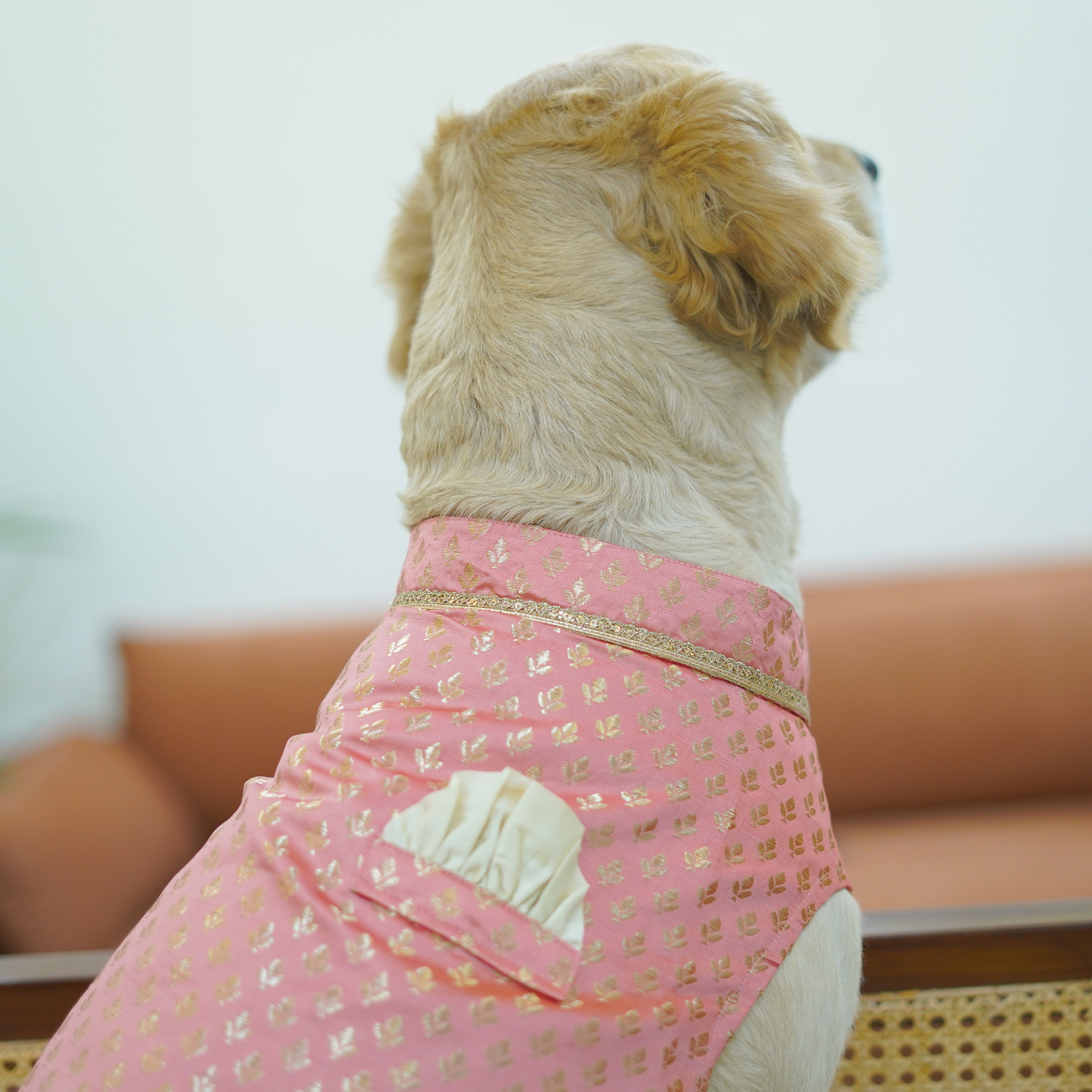Nawab - Peach Dog kurta