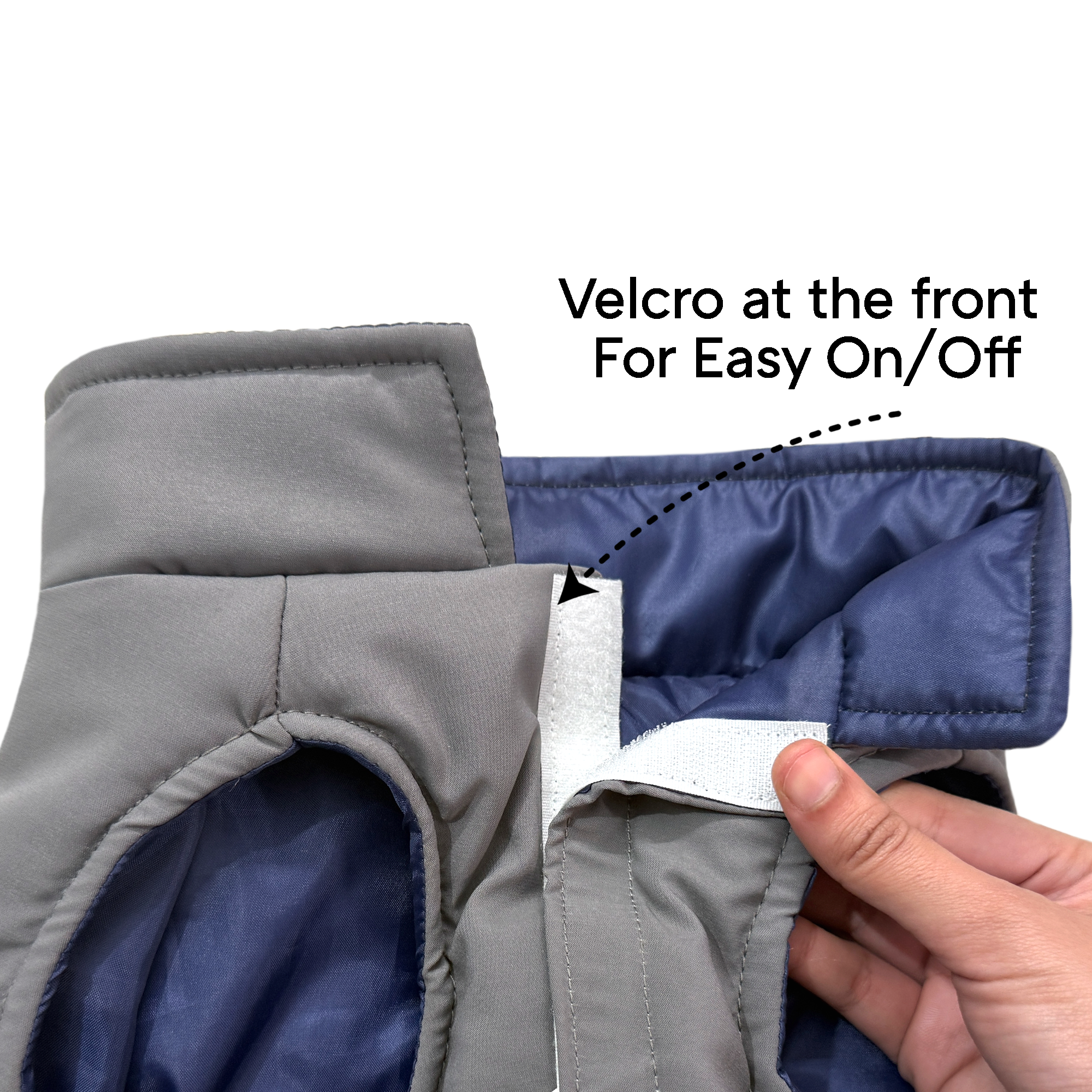 Crazy Frost- Wine Dog Jacket