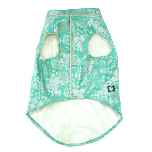 Nawab - Teal Dog kurta