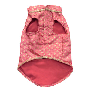 Nawab - Peach Dog kurta