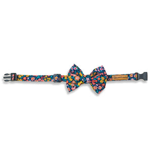 full size of Night Bloom - Bow Tie