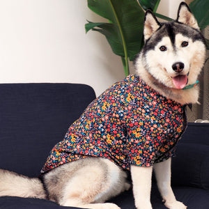 dog wear Night Bloom Dog Shirt