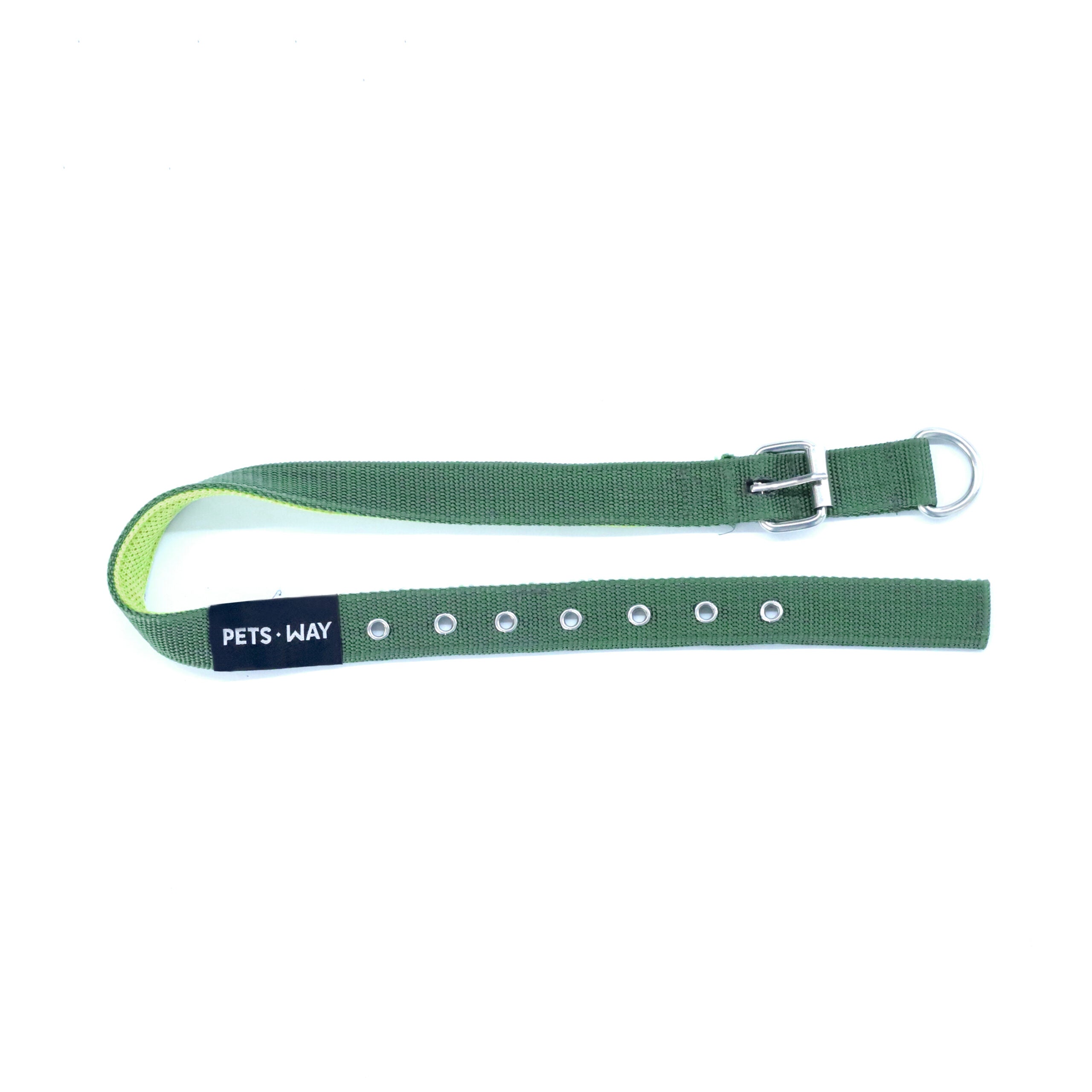 Olive Every Day Dog Collar